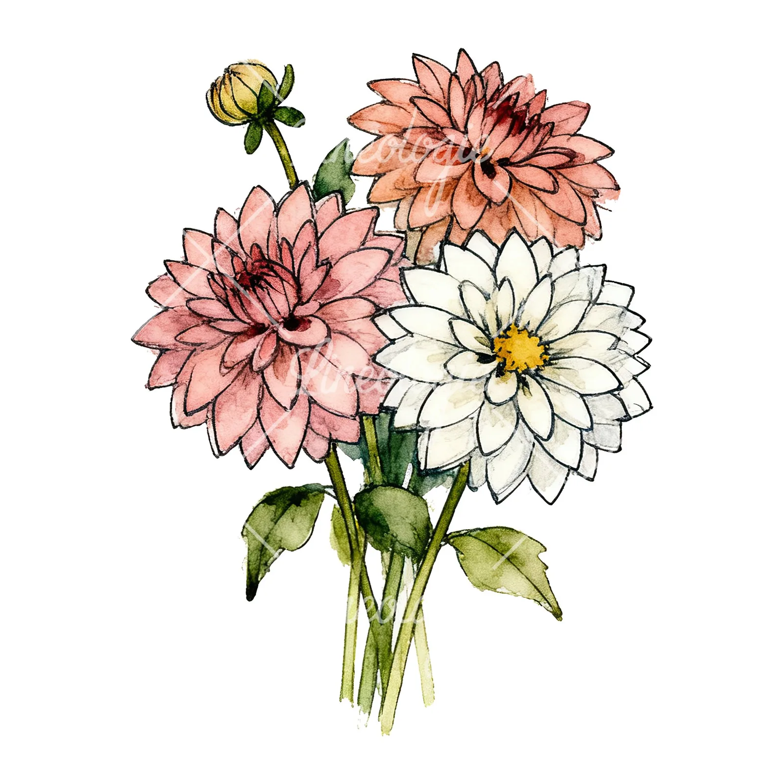 Watercolor dahlia bouquet with buds clipart 6 of 9 on a white background (JPG)