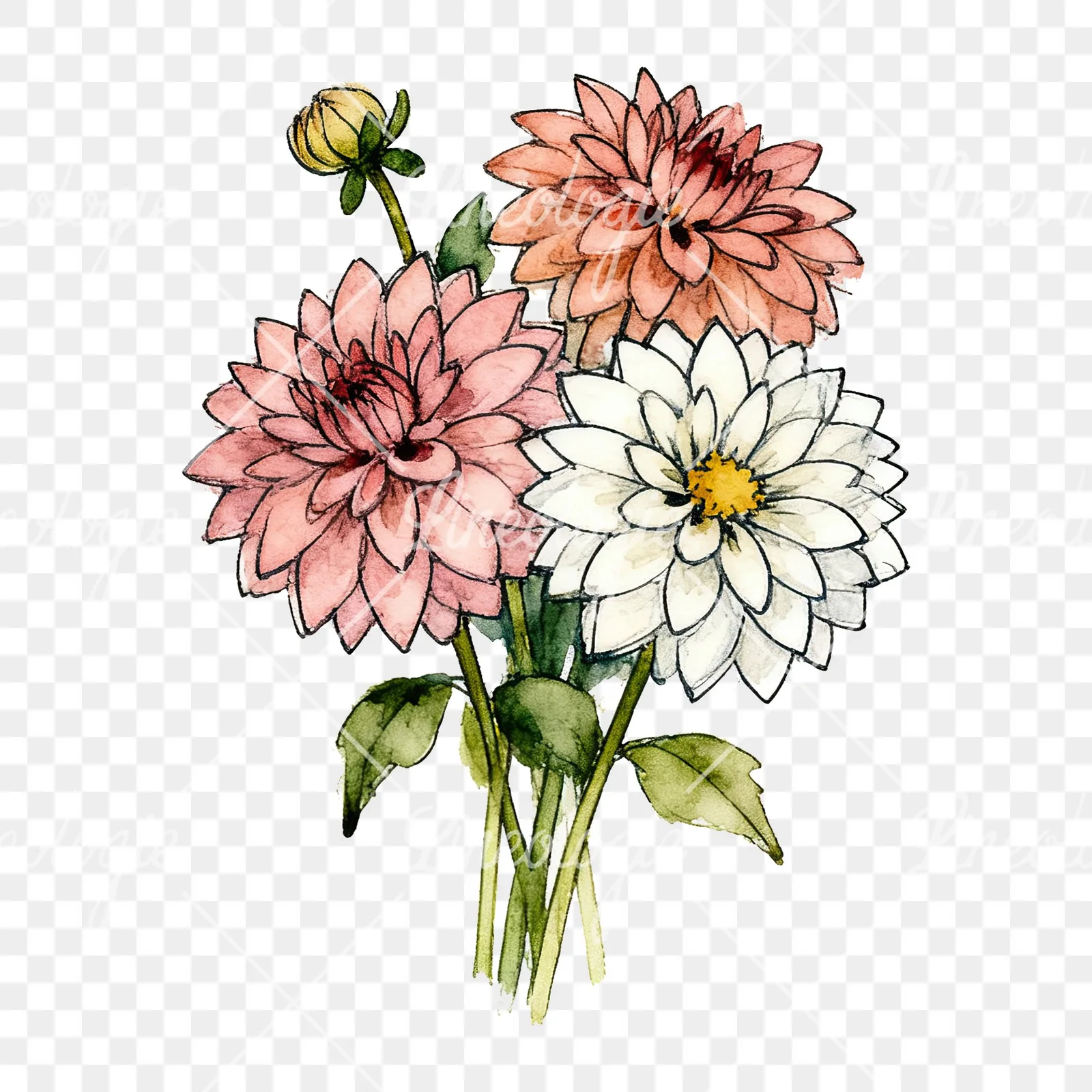 Watercolor dahlia bouquet with buds clipart 6 of 9 on a transparent background (PNG)