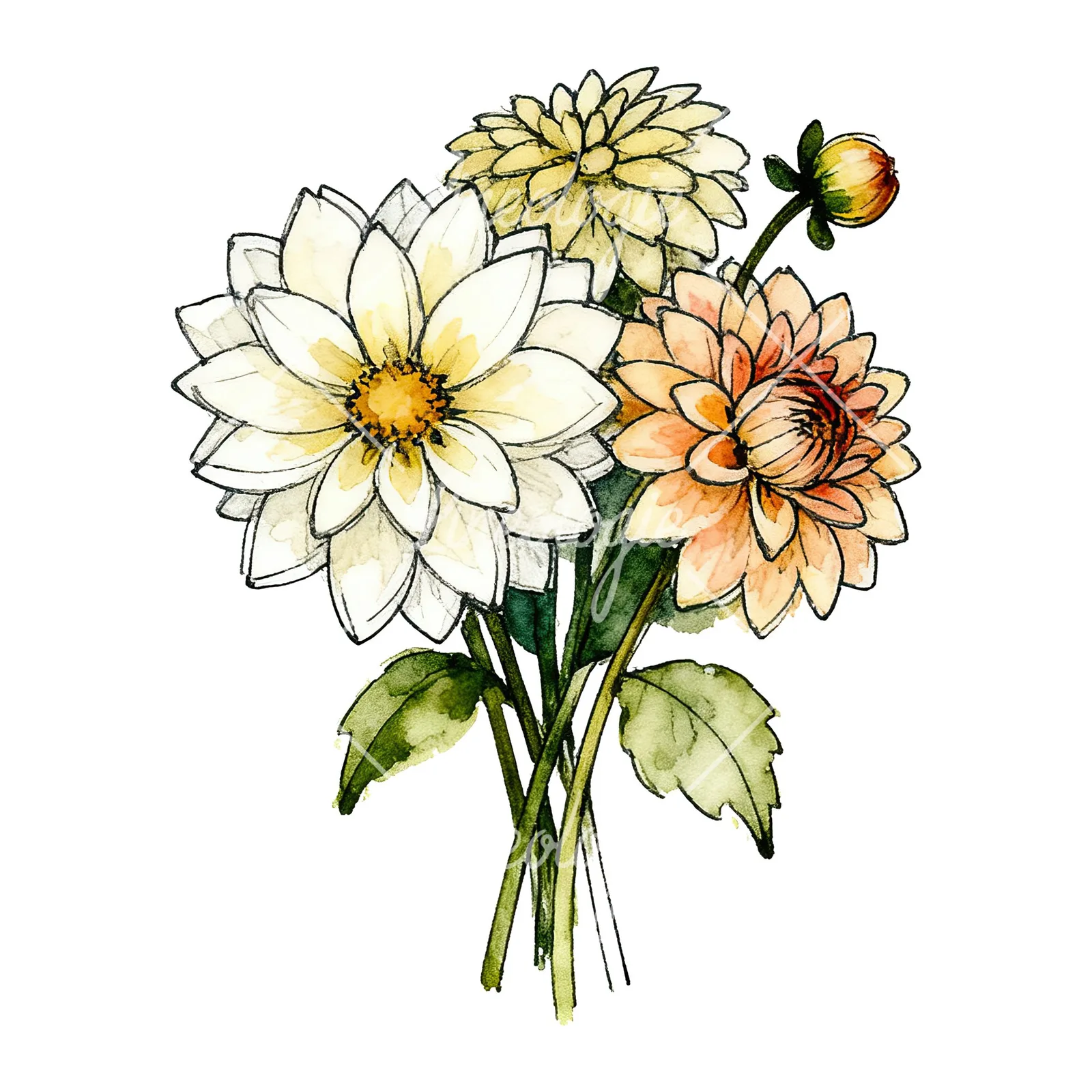 Watercolor dahlia bouquet with buds clipart 7 of 9 on a white background (JPG)