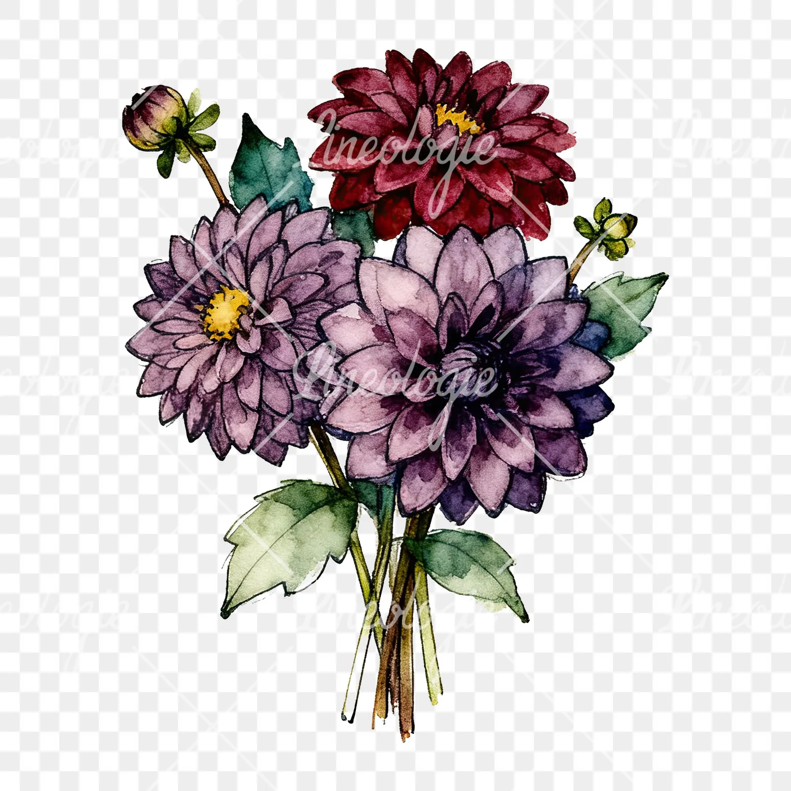 Watercolor dahlia bouquet with buds clipart 9 of 9 on a transparent background (PNG)