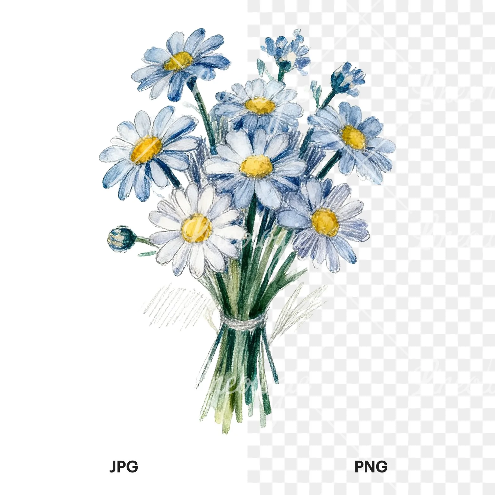Watercolor colorful daisy bouquet clipart 7 of 9, as a JPG on white and a transparent PNG