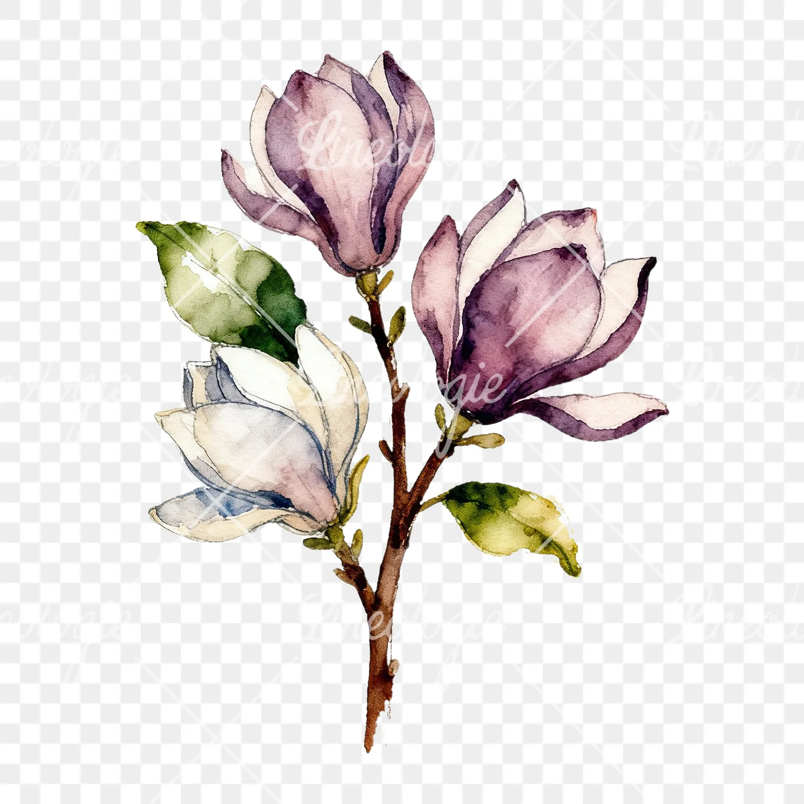 Watercolor pink and yellow magnolia bouquet clipart 4 of 9 on a transparent background (PNG)