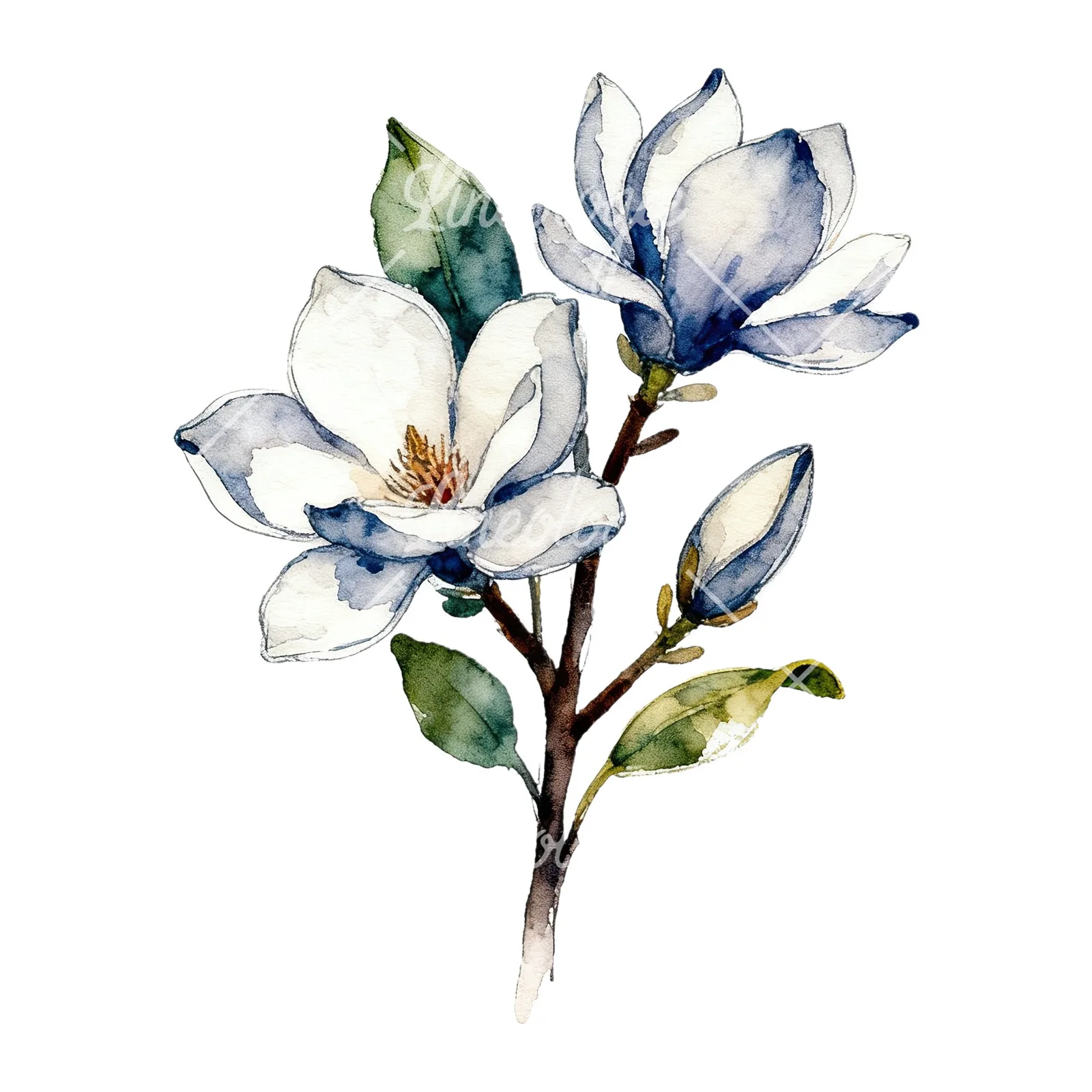 Watercolor pink and yellow magnolia bouquet clipart 7 of 9 on a white background (JPG)
