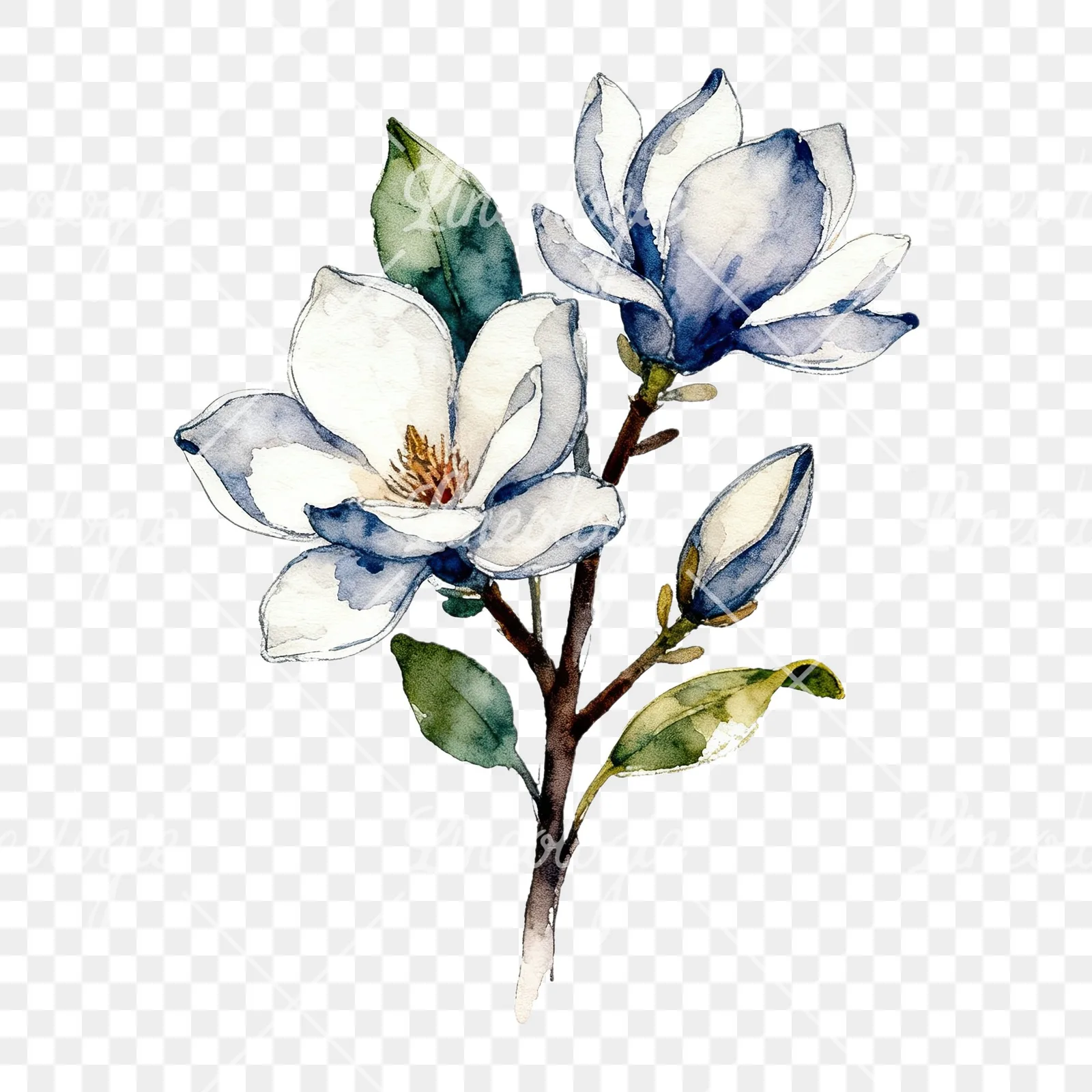 Watercolor pink and yellow magnolia bouquet clipart 7 of 9 on a transparent background (PNG)