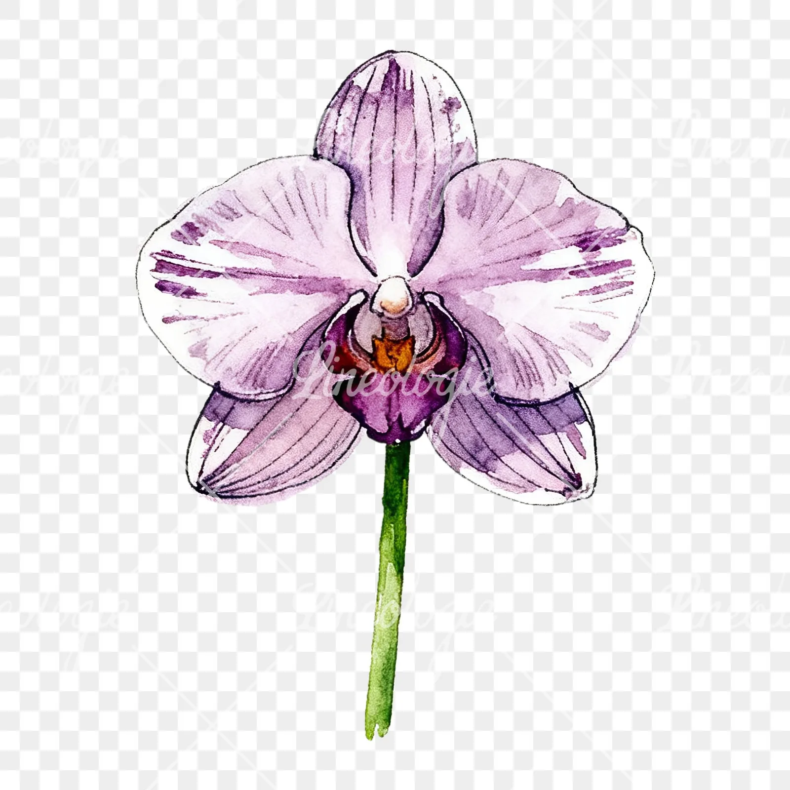Watercolor single orchid bloom clipart 3 of 9 on a transparent background (PNG)