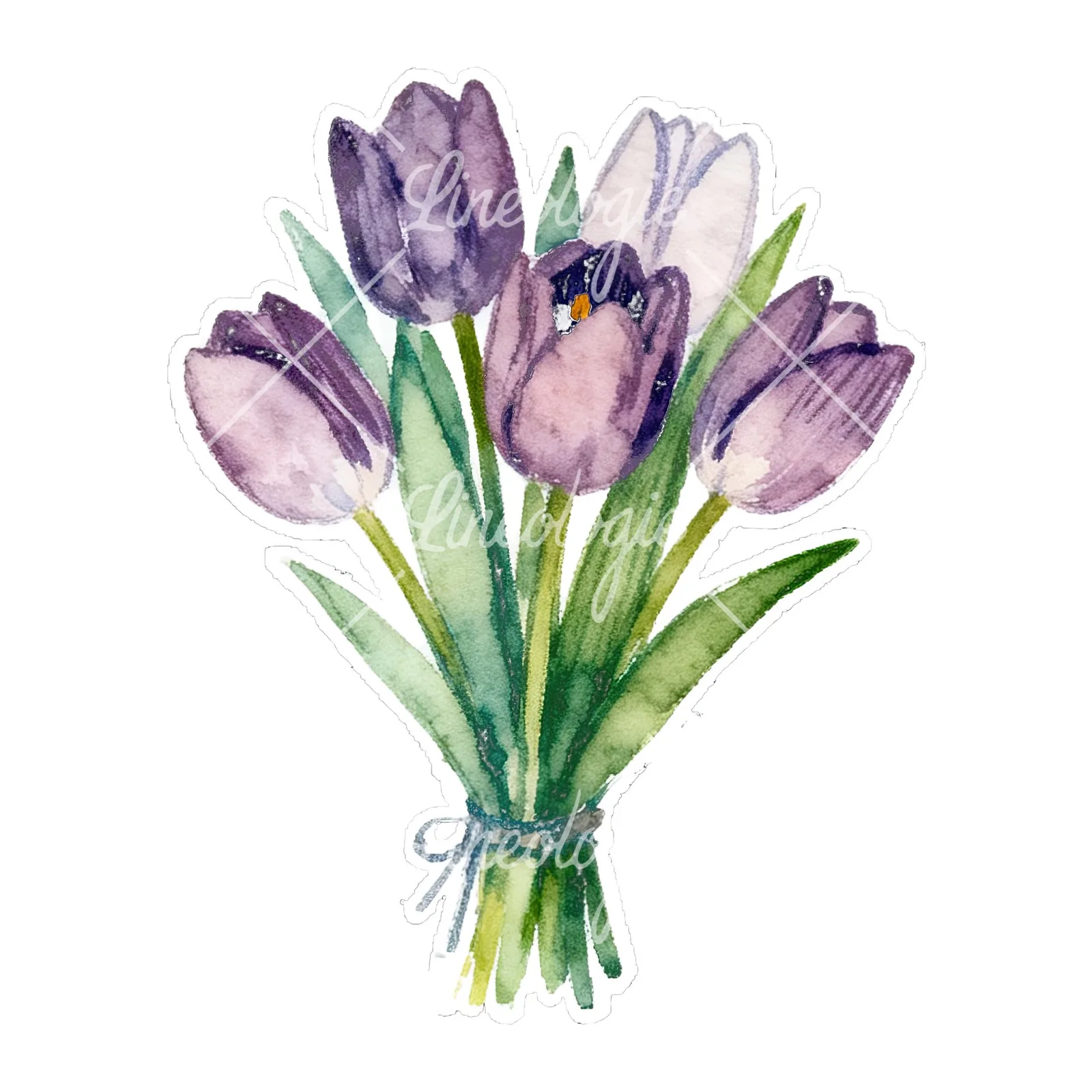 Watercolor tied tulip bouquet clipart 7 of 9 on a white background (JPG)