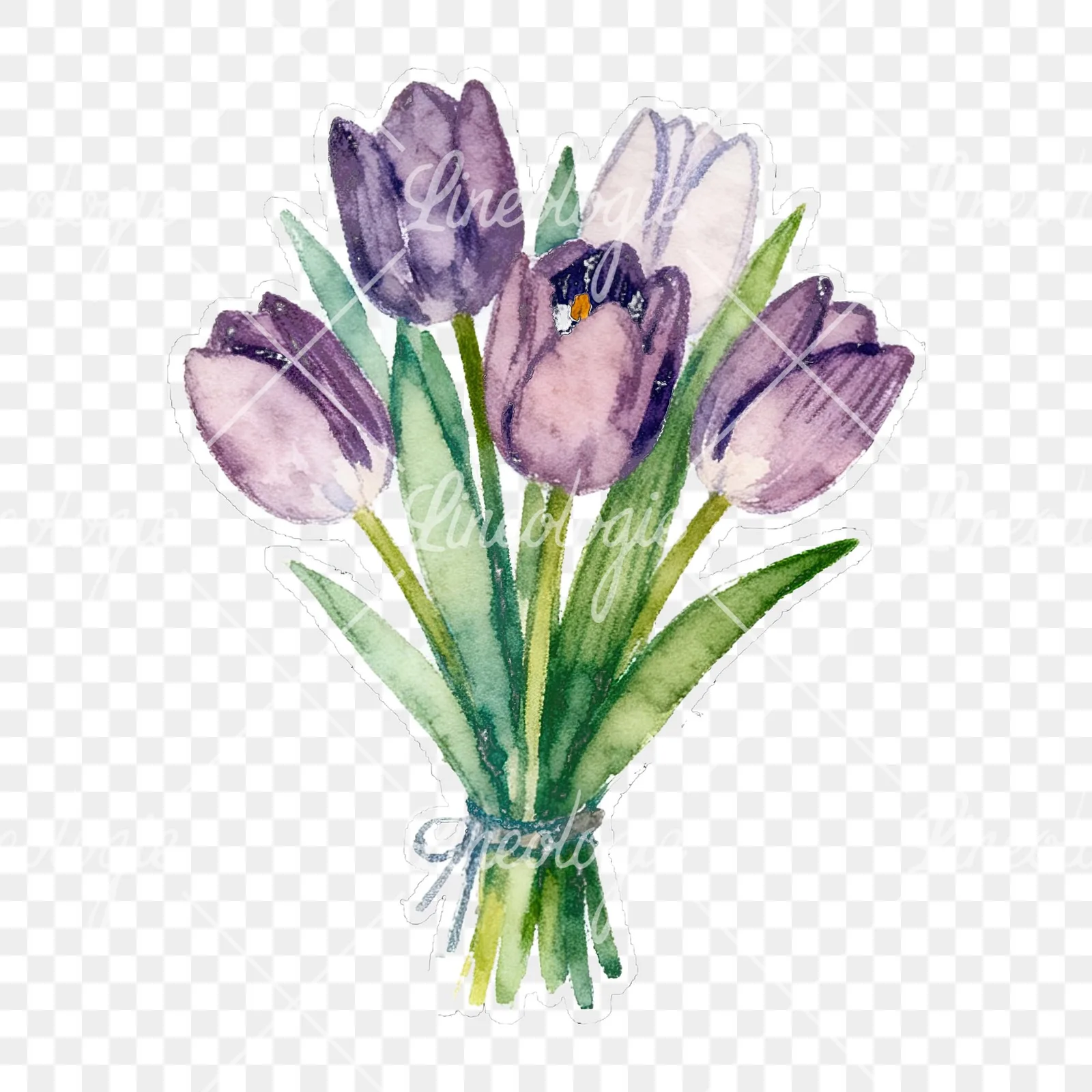Watercolor tied tulip bouquet clipart 7 of 9 on a transparent background (PNG)
