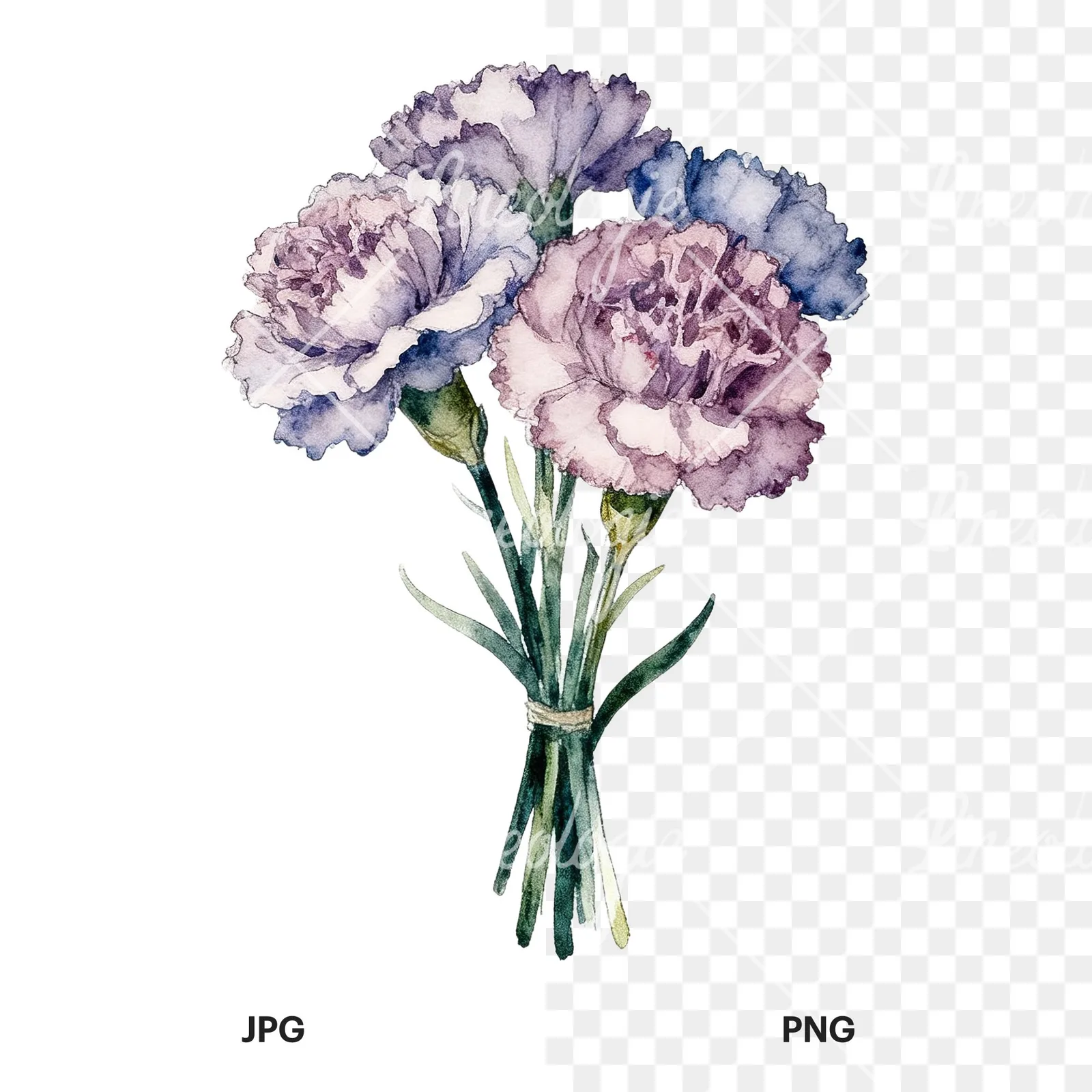 Watercolor single hue carnation bouquet clipart 2 of 9, as a JPG on white and a transparent PNG