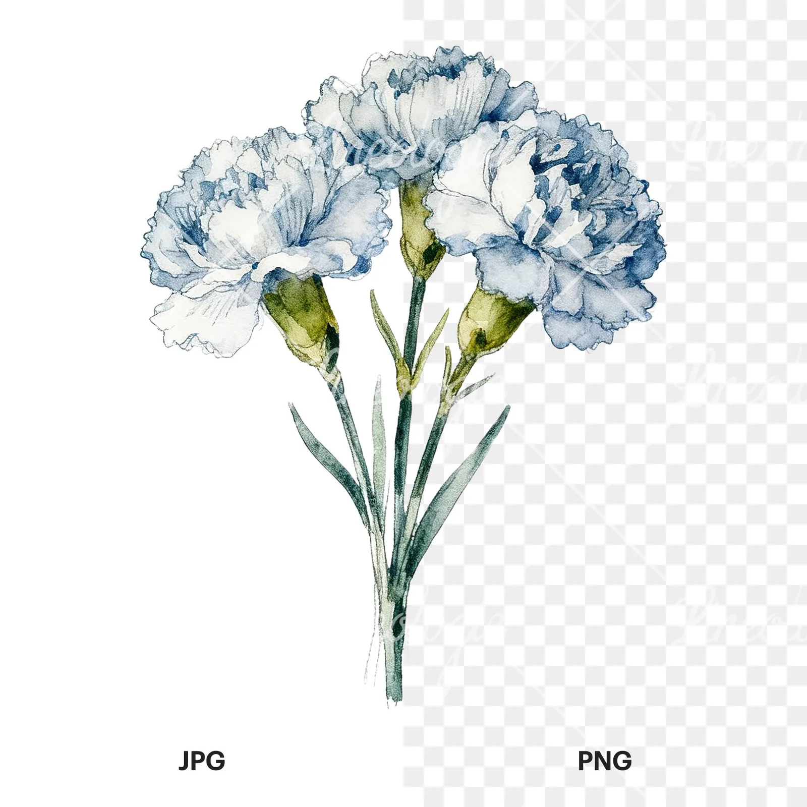 Watercolor single hue carnation bouquet clipart 7 of 9, as a JPG on white and a transparent PNG