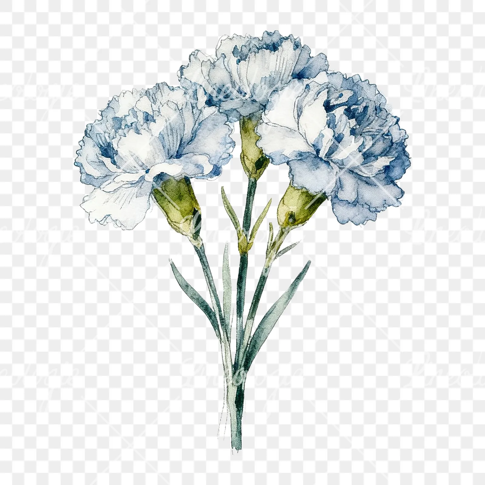 Watercolor single hue carnation bouquet clipart 7 of 9 on a transparent background (PNG)