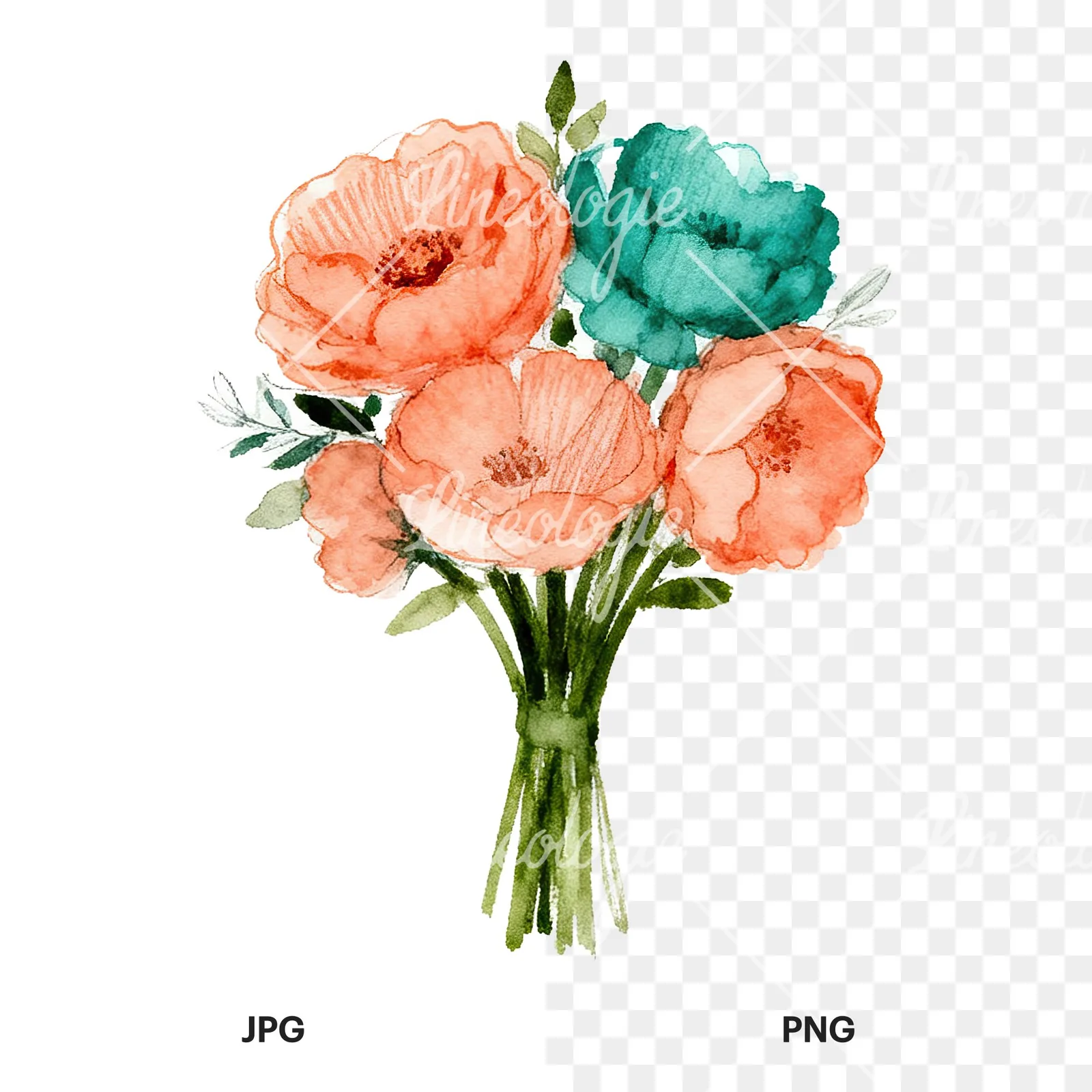 Watercolor clustered coral and teal wedding bouquet clipart 2 of 9, as a JPG on white and a transparent PNG
