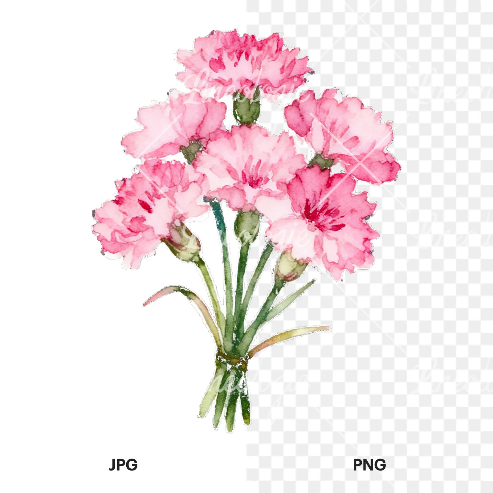 Watercolor cornflower bouquet clipart 5 of 9, as a JPG on white and a transparent PNG