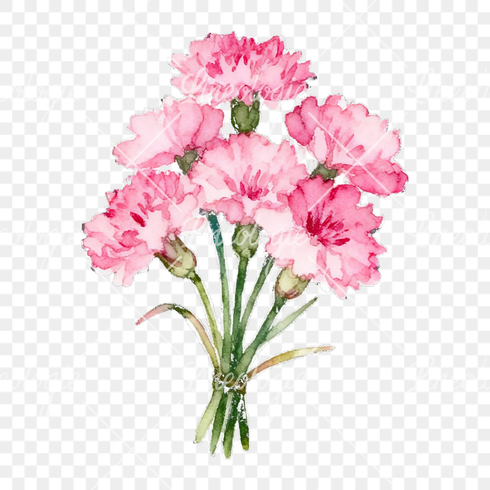 Watercolor cornflower bouquet clipart 5 of 9 on a transparent background (PNG)