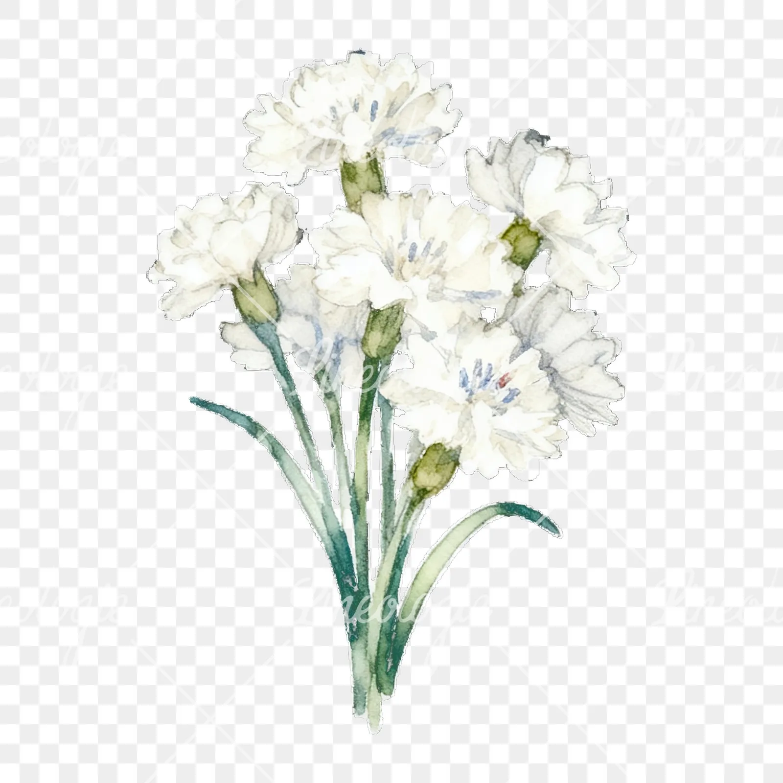 Watercolor cornflower bouquet clipart 9 of 9 on a transparent background (PNG)