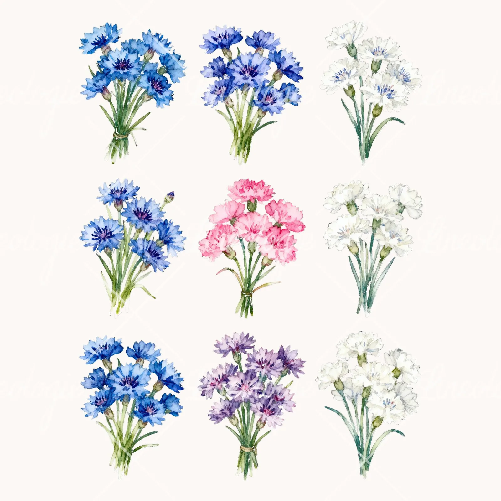 Watercolor Cornflower Bouquet Clipart, all 9 illustrations in the pack
