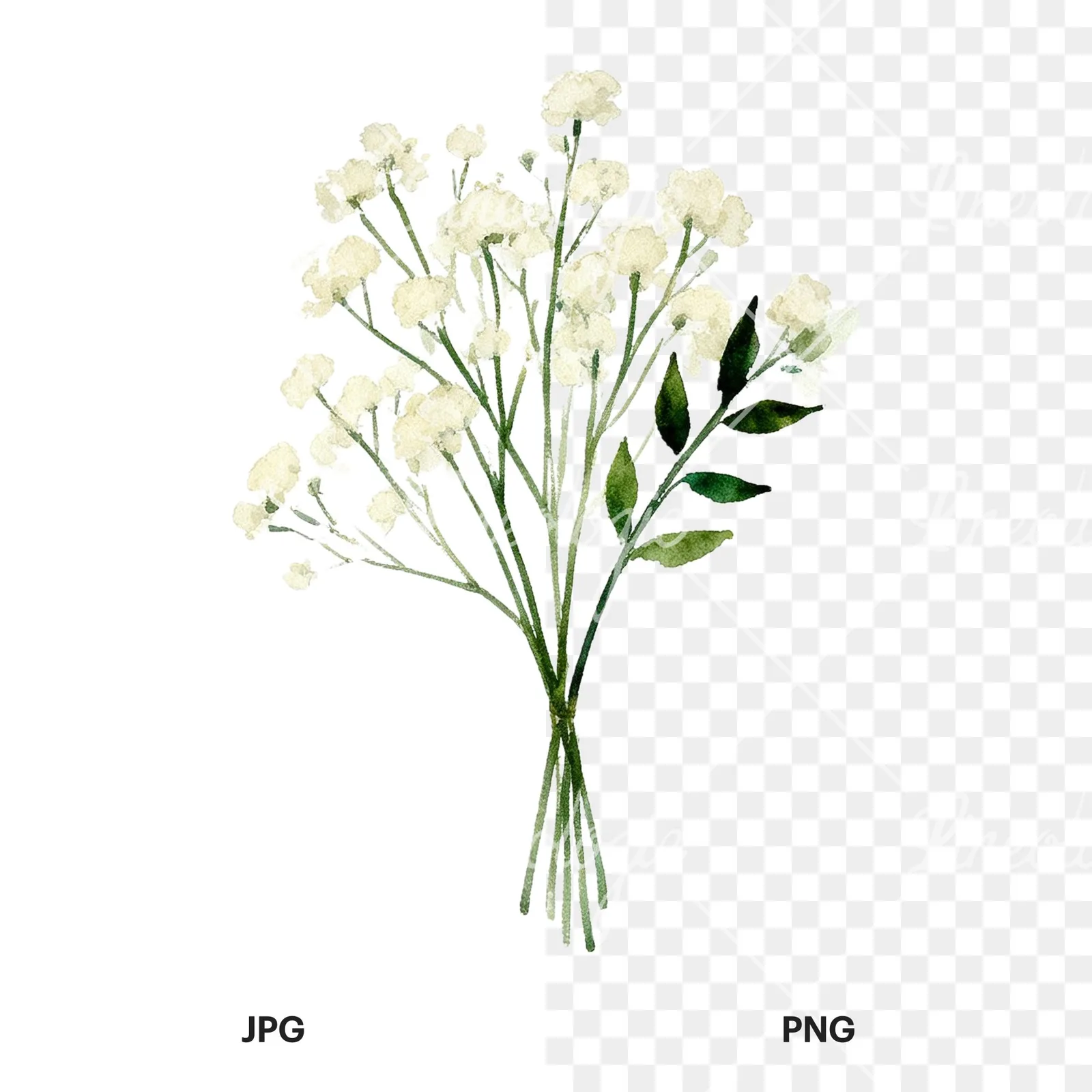 Watercolor cream and green bouquet clipart 6 of 9, as a JPG on white and a transparent PNG