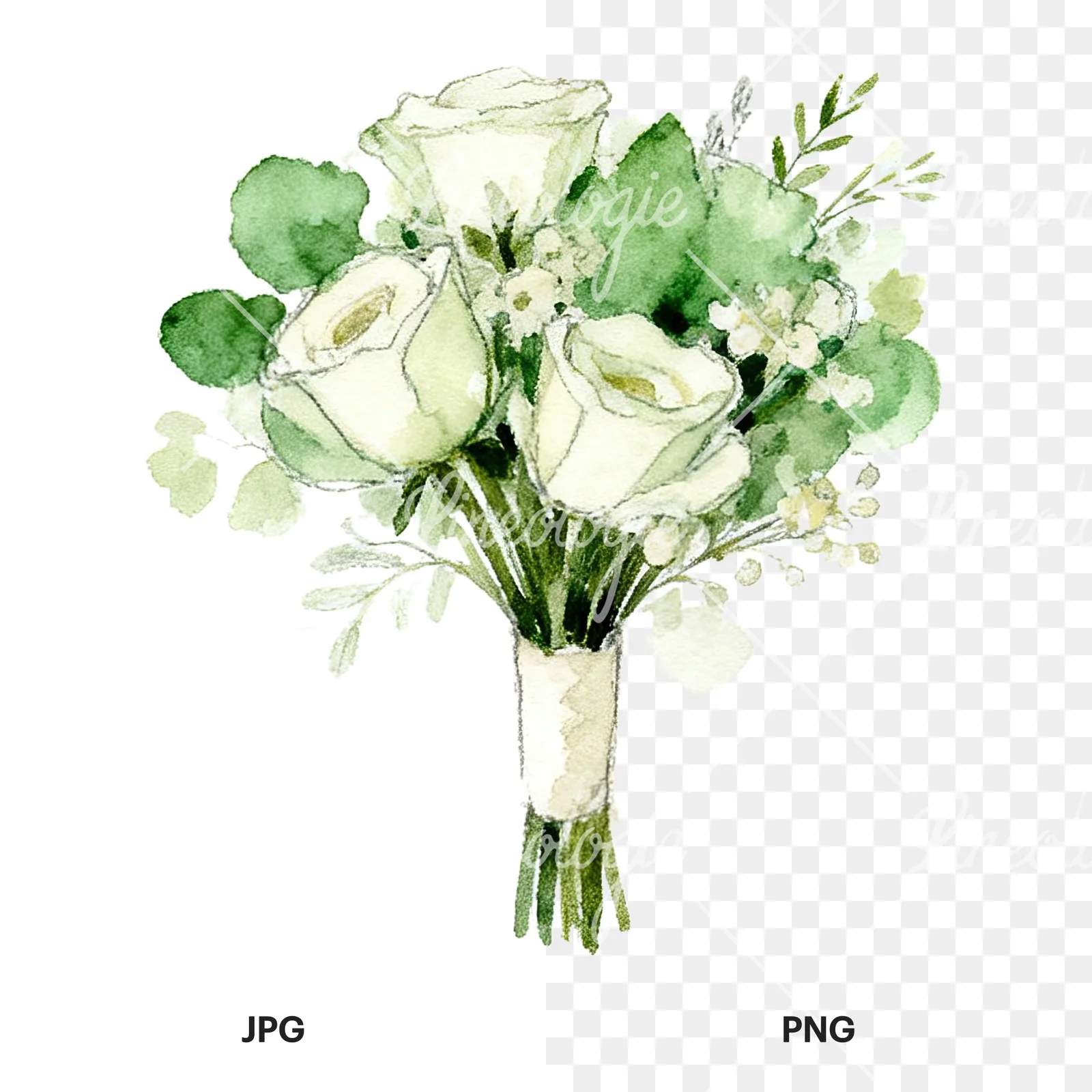 Watercolor cream and green wedding bouquet clipart 6 of 12, as a JPG on white and a transparent PNG