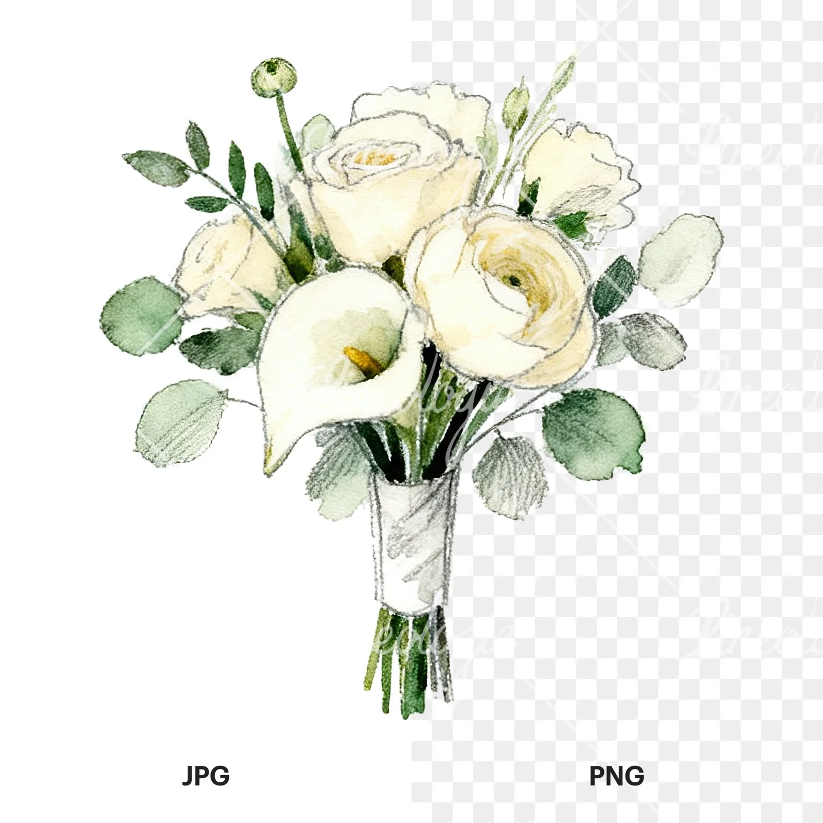 Watercolor cream and green wedding bouquet clipart 8 of 12, as a JPG on white and a transparent PNG
