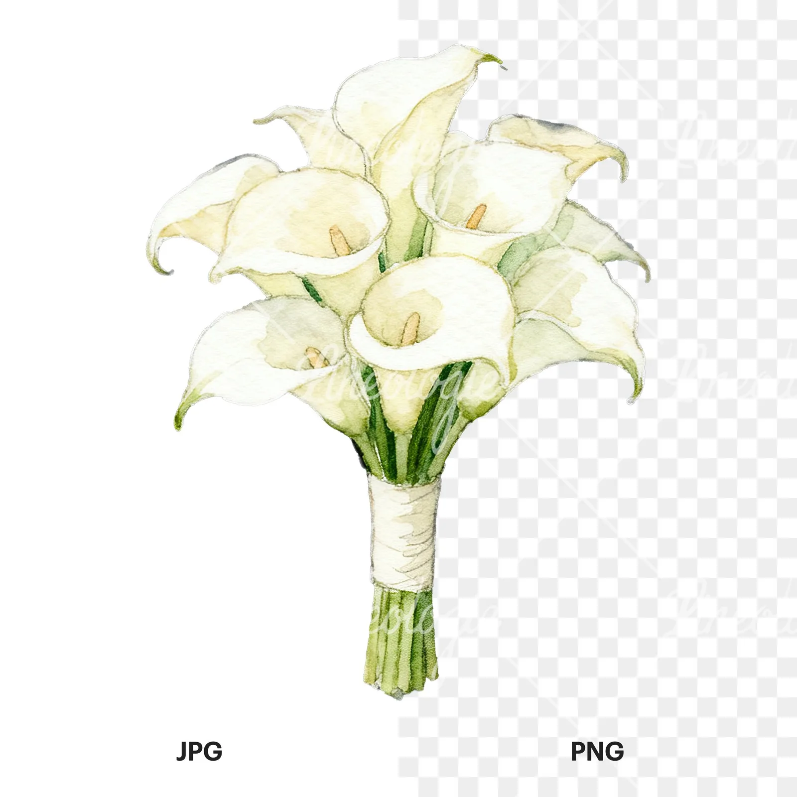 Watercolor elegant cream wedding bouquet clipart 2 of 9, as a JPG on white and a transparent PNG