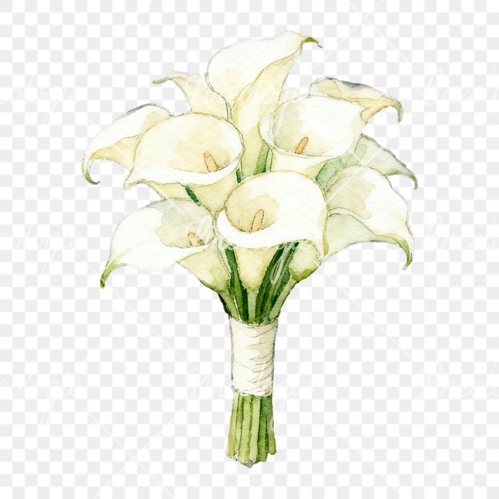Watercolor elegant cream wedding bouquet clipart 2 of 9 on a transparent background (PNG)