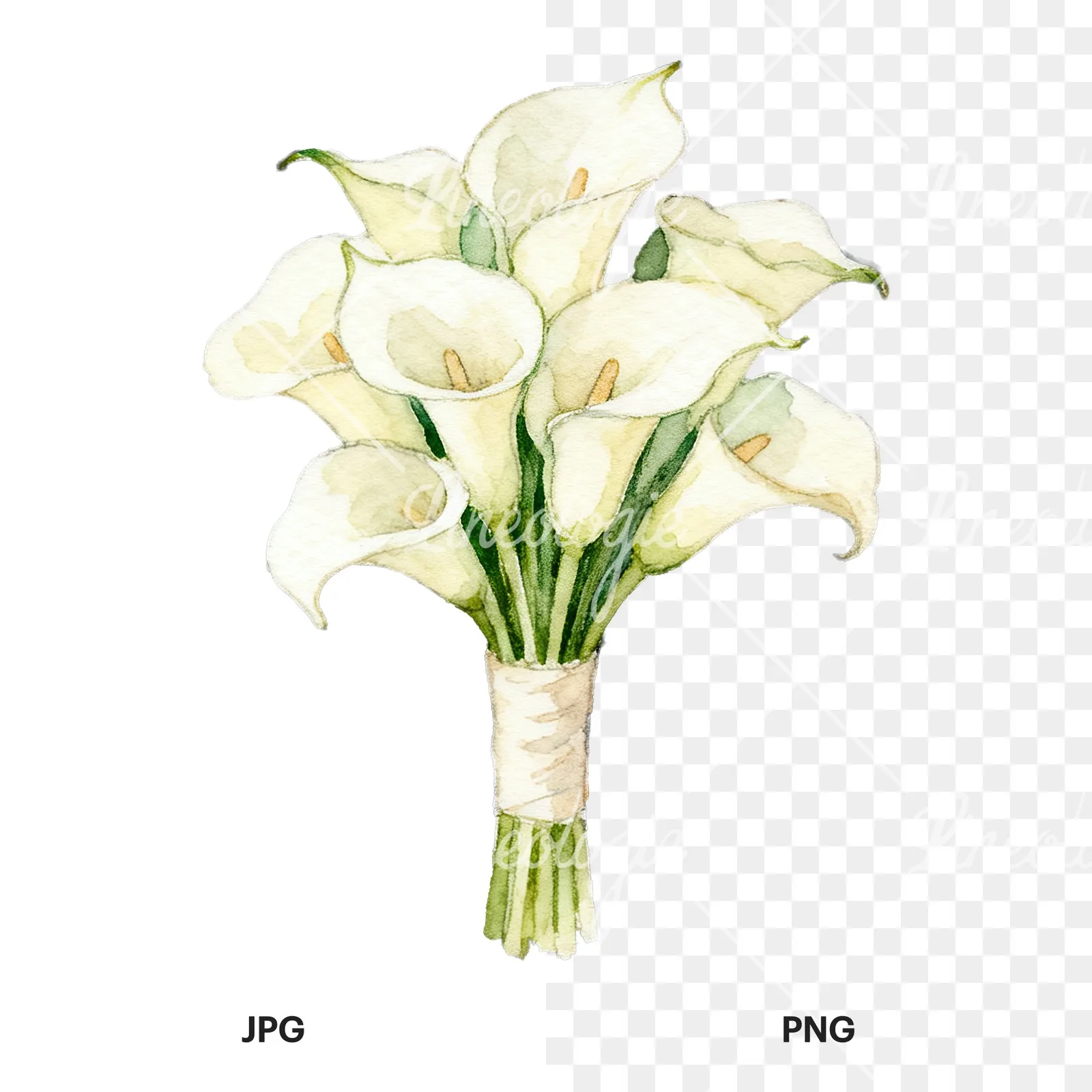 Watercolor elegant cream wedding bouquet clipart 5 of 9, as a JPG on white and a transparent PNG
