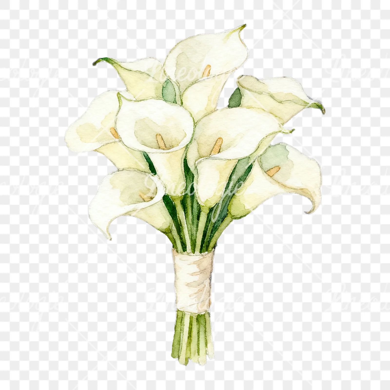 Watercolor elegant cream wedding bouquet clipart 5 of 9 on a transparent background (PNG)