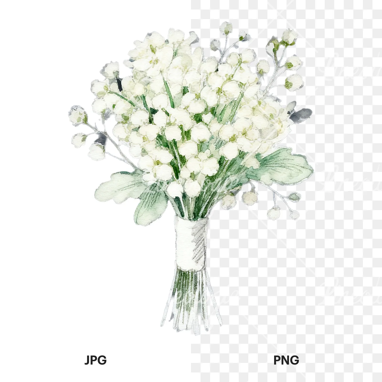 Watercolor elegant cream wedding bouquet clipart 9 of 9, as a JPG on white and a transparent PNG