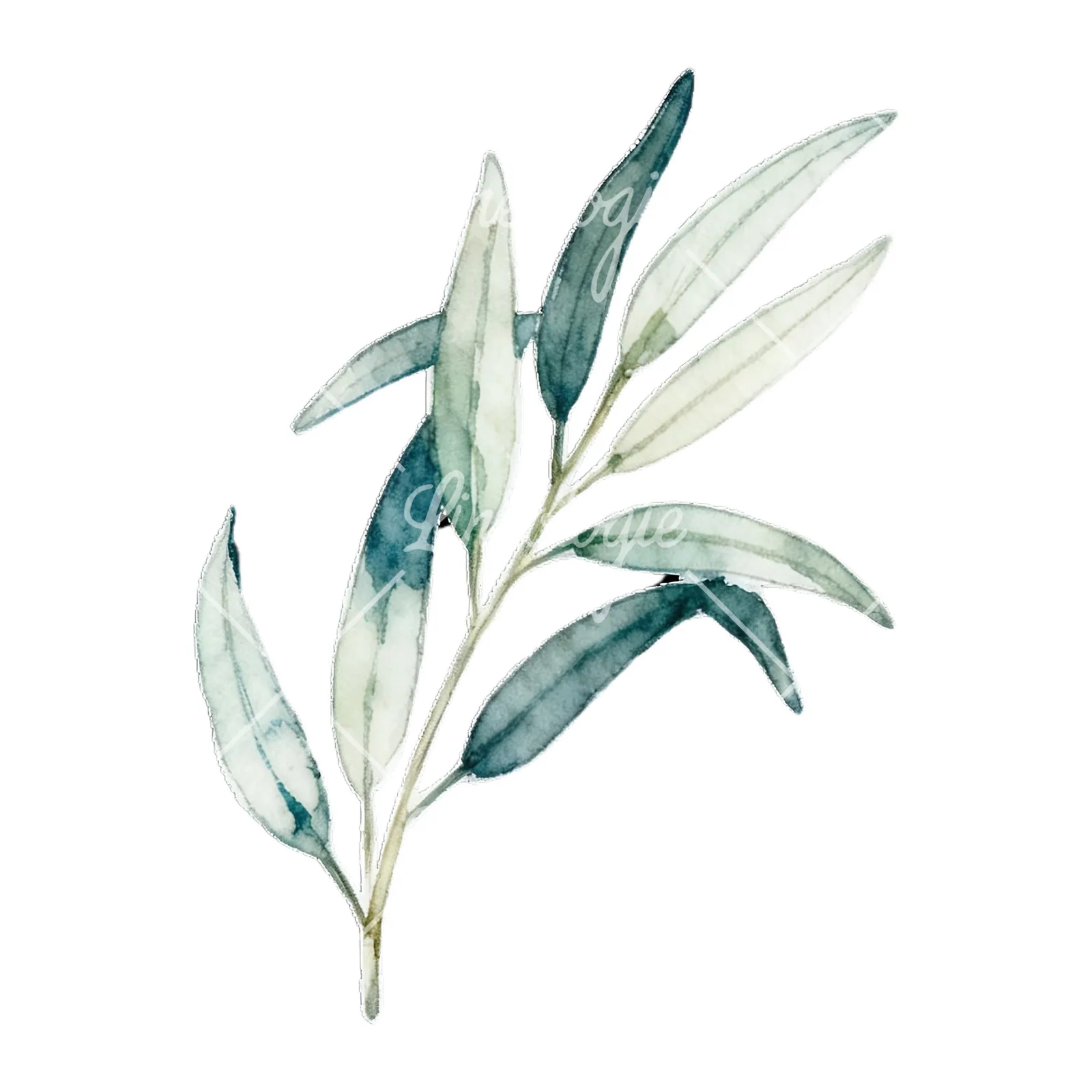 Watercolor eucalyptus branch with muted red clipart 4 of 9 on a white background (JPG)