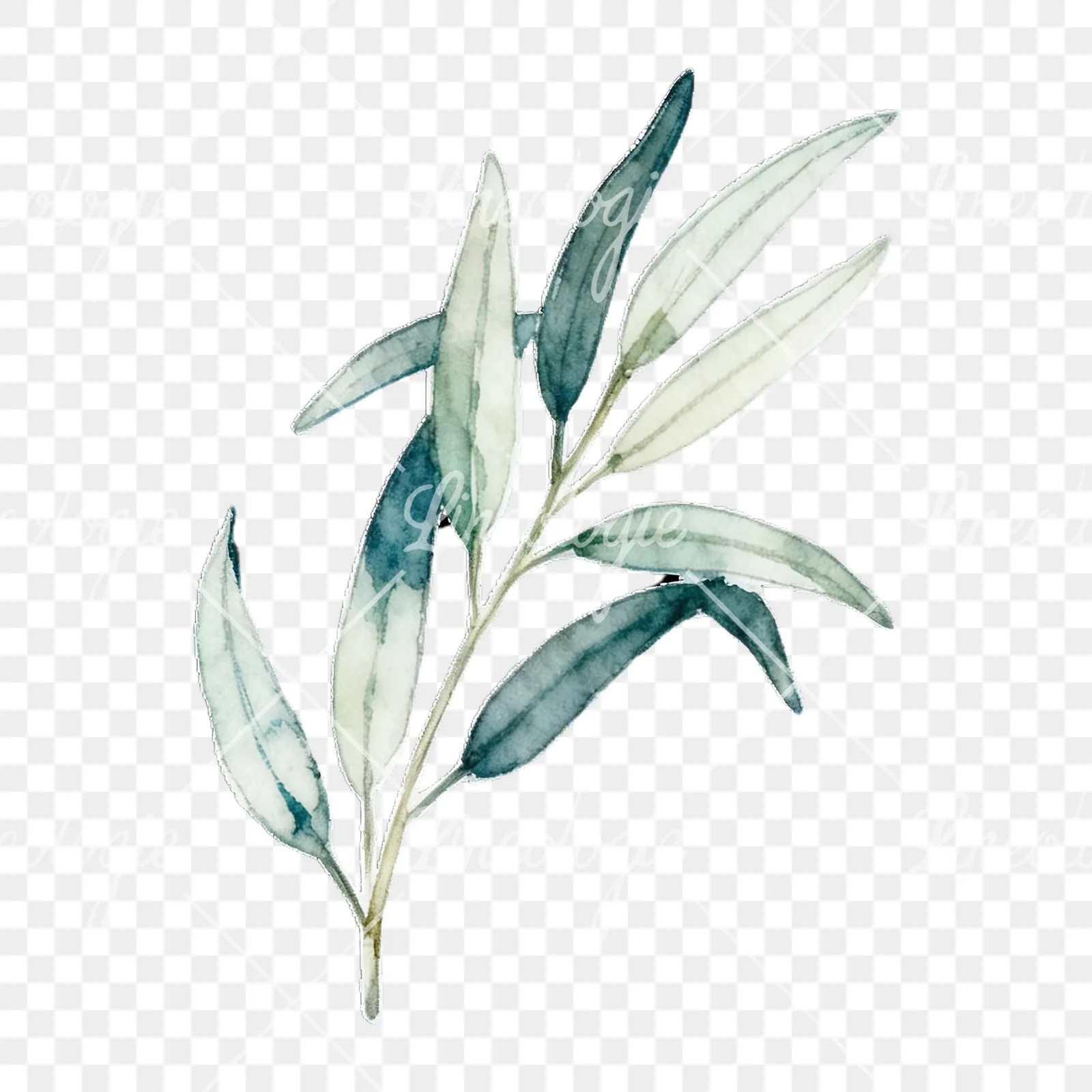 Watercolor eucalyptus branch with muted red clipart 4 of 9 on a transparent background (PNG)