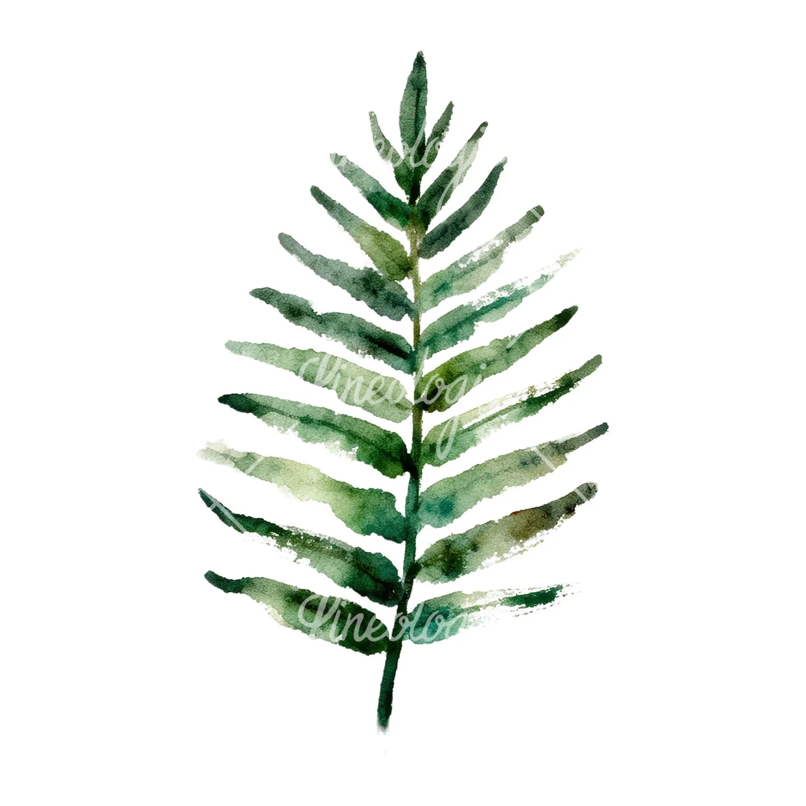 Watercolor fern with olive tones clipart 3 of 9 on a white background (JPG)