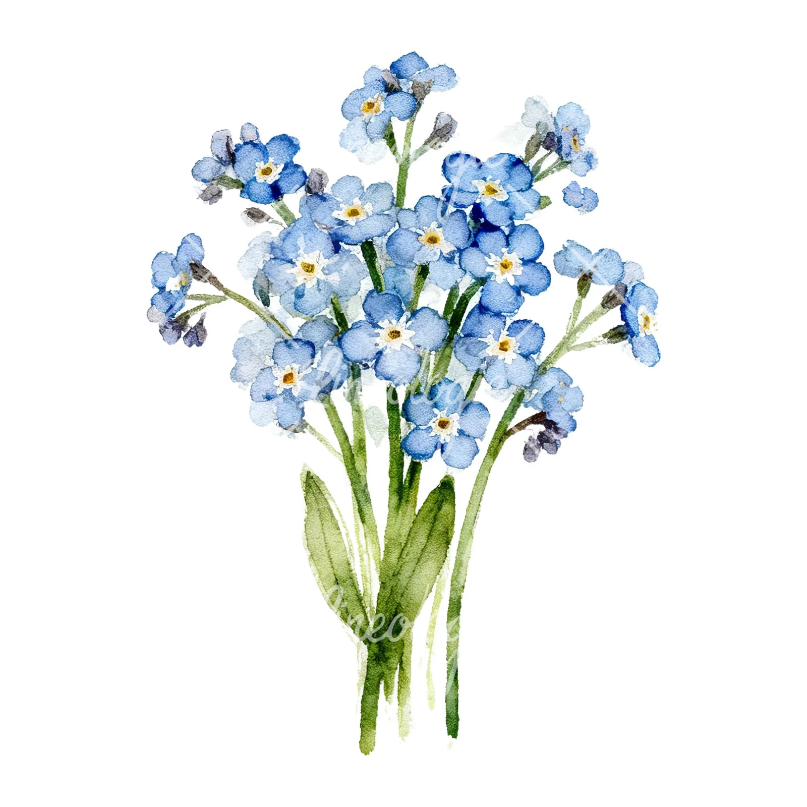 Watercolor blue and purple forget me not bouquet clipart 1 of 9 on a white background (JPG)