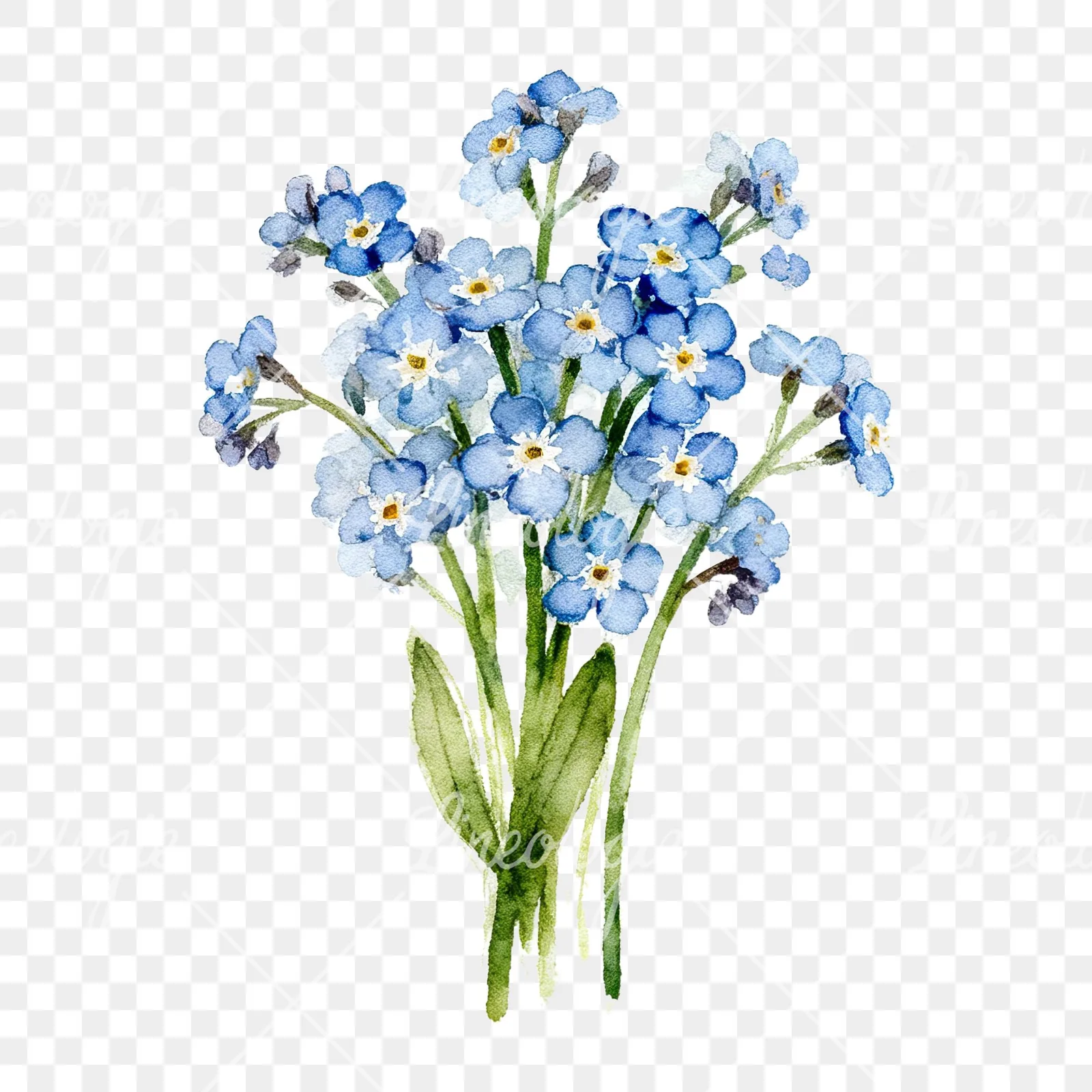 Watercolor blue and purple forget me not bouquet clipart 1 of 9 on a transparent background (PNG)