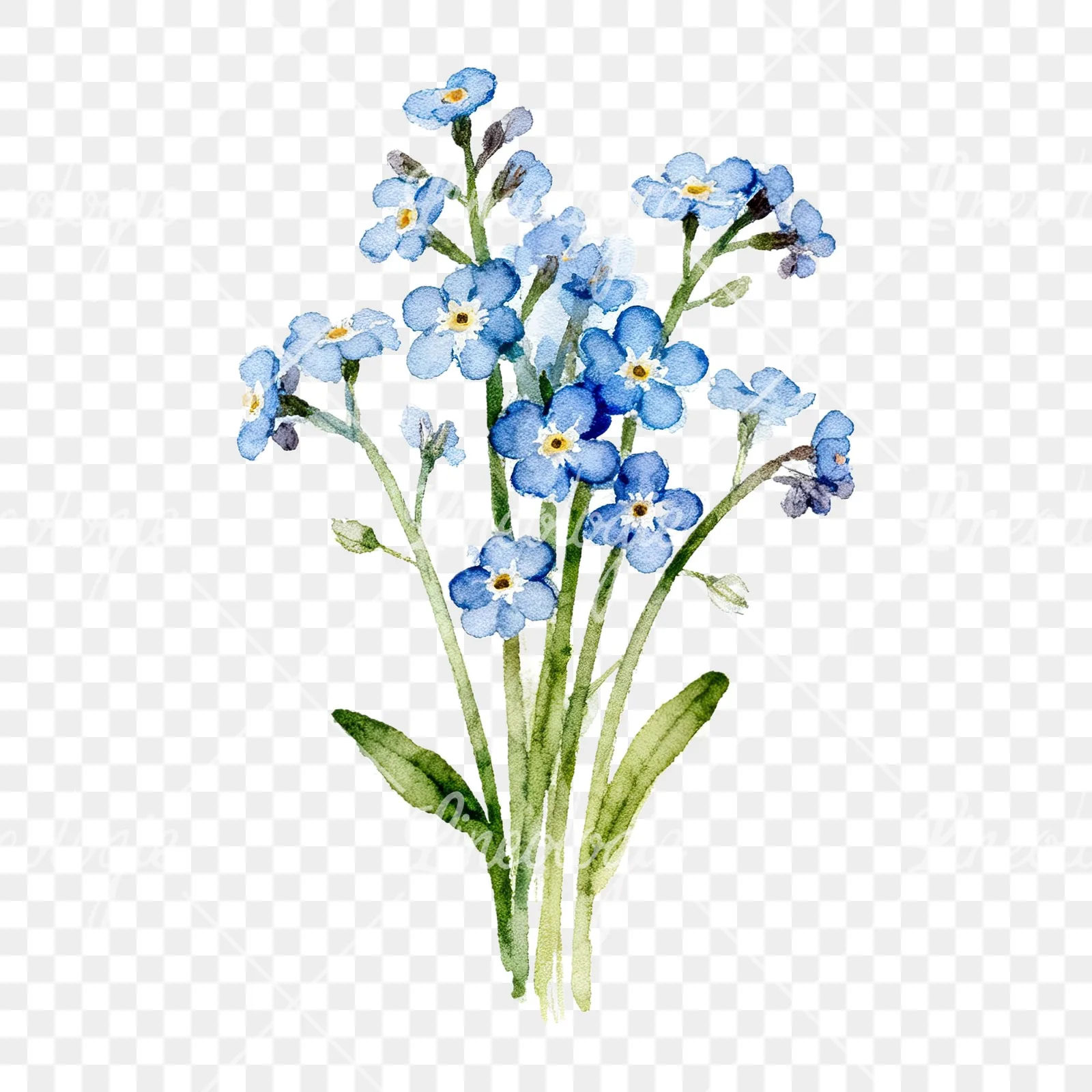 Watercolor blue and purple forget me not bouquet clipart 9 of 9 on a transparent background (PNG)