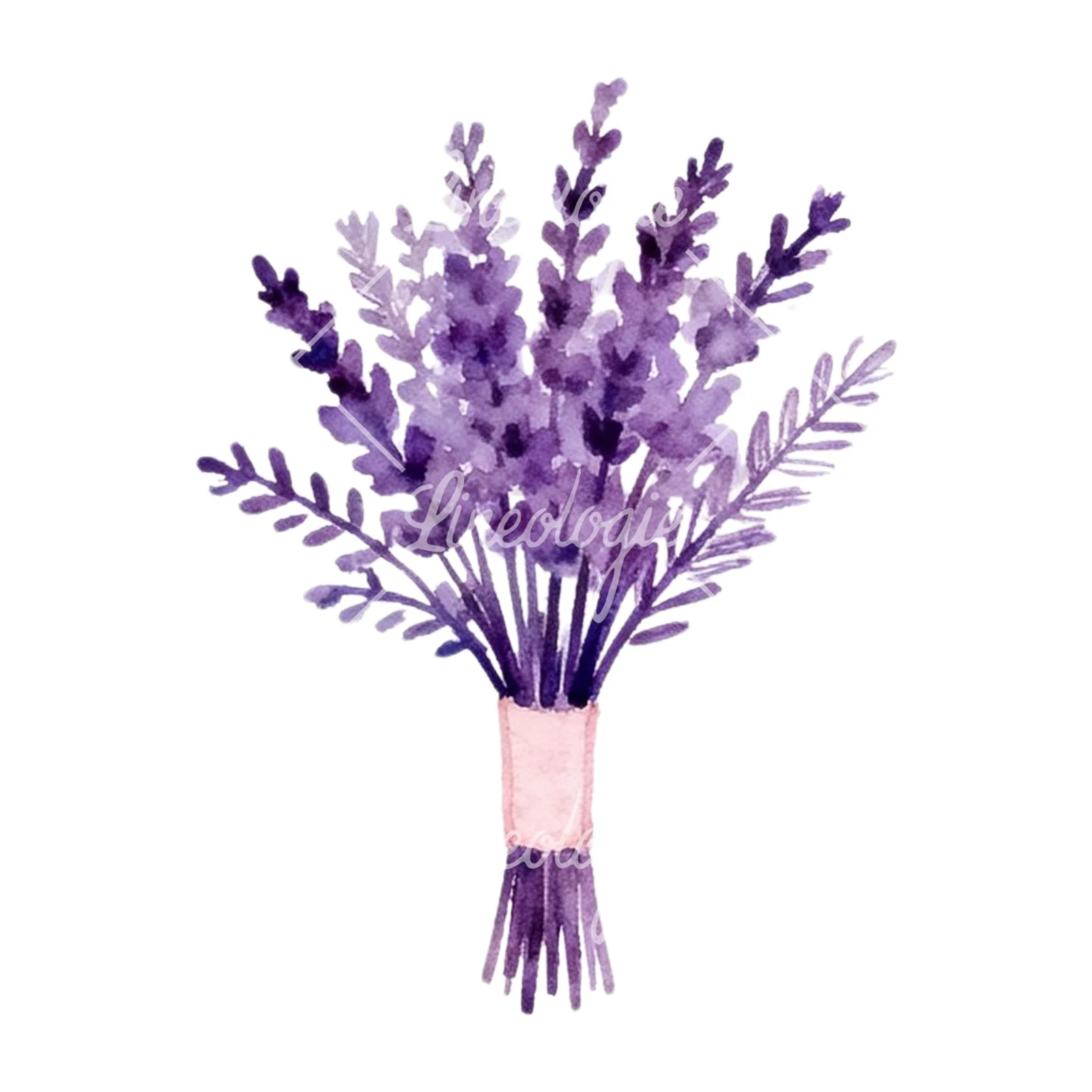 Watercolor lavender and blush wedding bouquet clipart 5 of 9 on a white background (JPG)