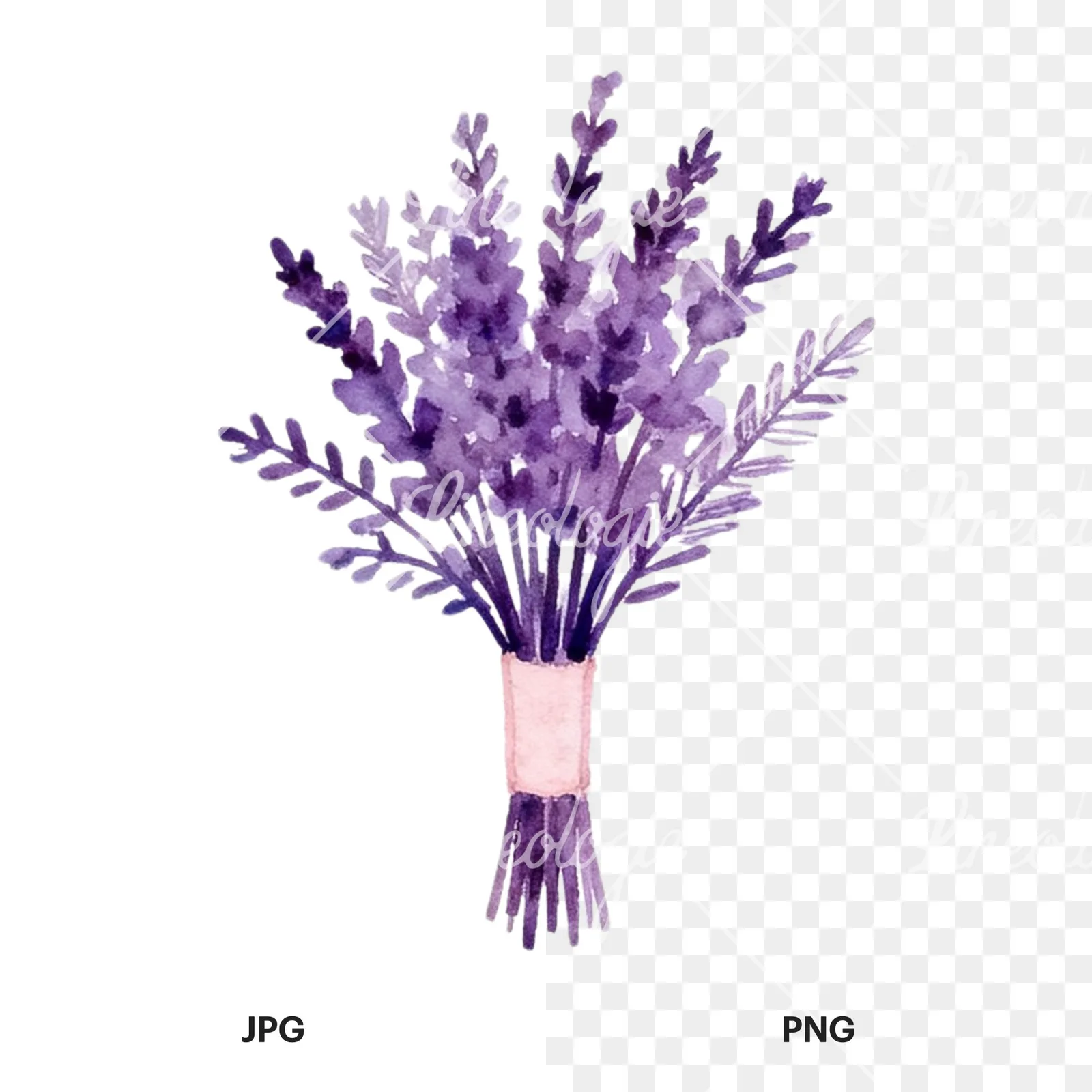 Watercolor lavender and blush wedding bouquet clipart 5 of 9, as a JPG on white and a transparent PNG