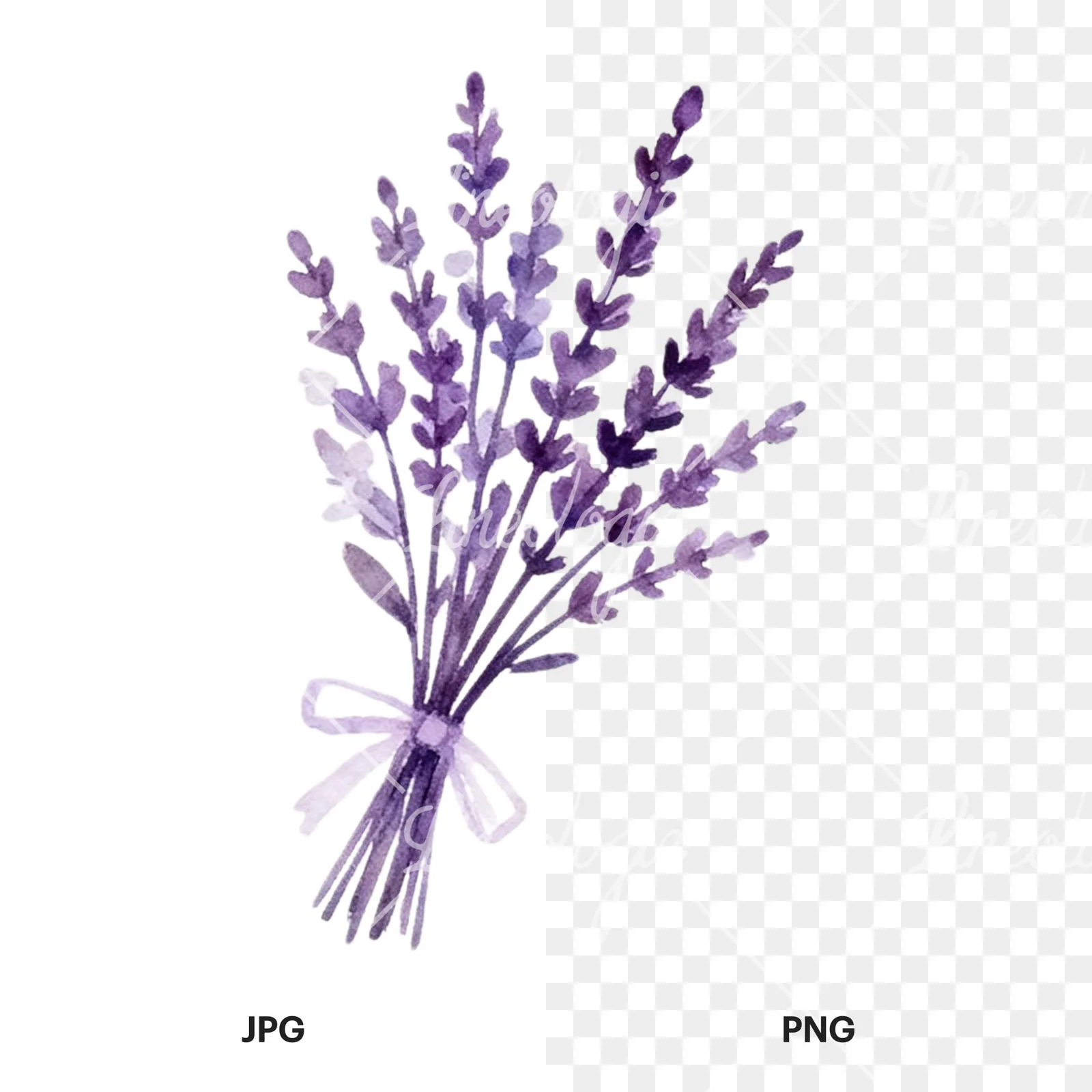 Watercolor lavender and blush wedding bouquet clipart 9 of 9, as a JPG on white and a transparent PNG
