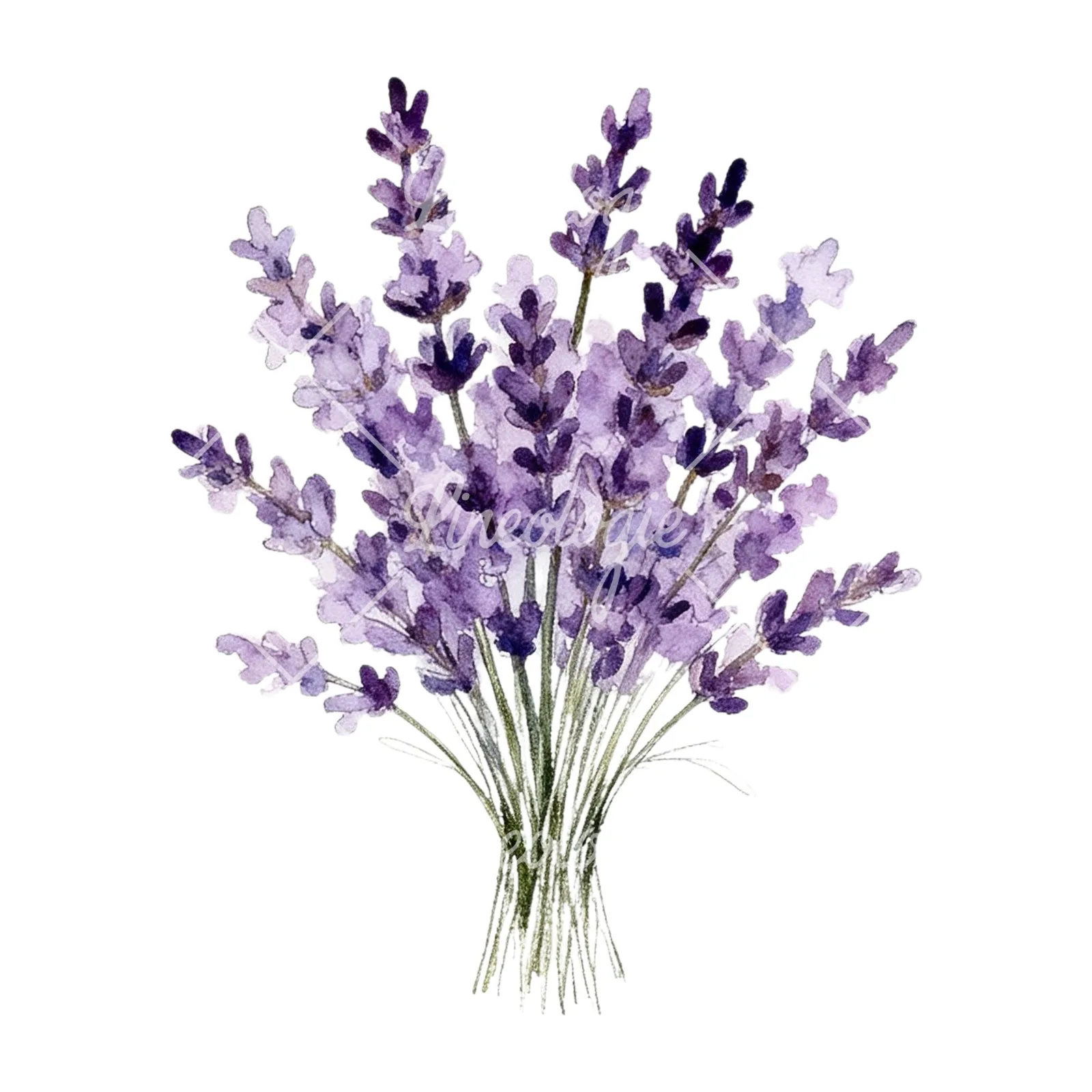 Watercolor lavender and pale pink wedding bouquet clipart 4 of 9 on a white background (JPG)