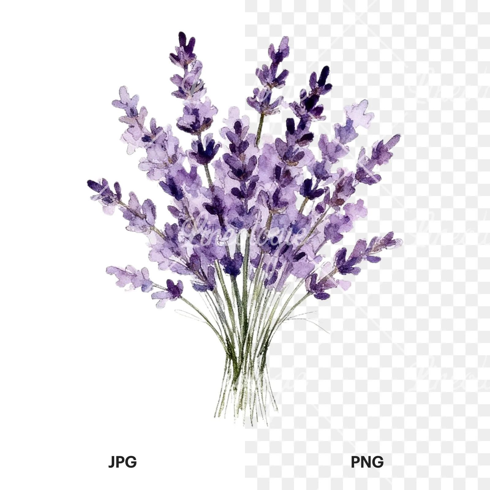 Watercolor lavender and pale pink wedding bouquet clipart 4 of 9, as a JPG on white and a transparent PNG