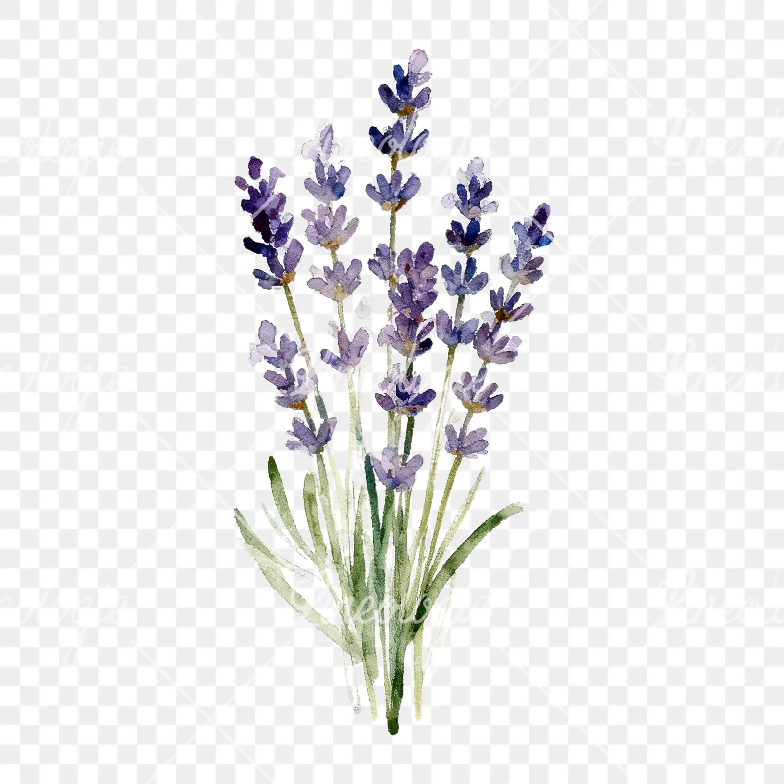 Watercolor lavender bouquet with blue accents clipart 1 of 9 on a transparent background (PNG)