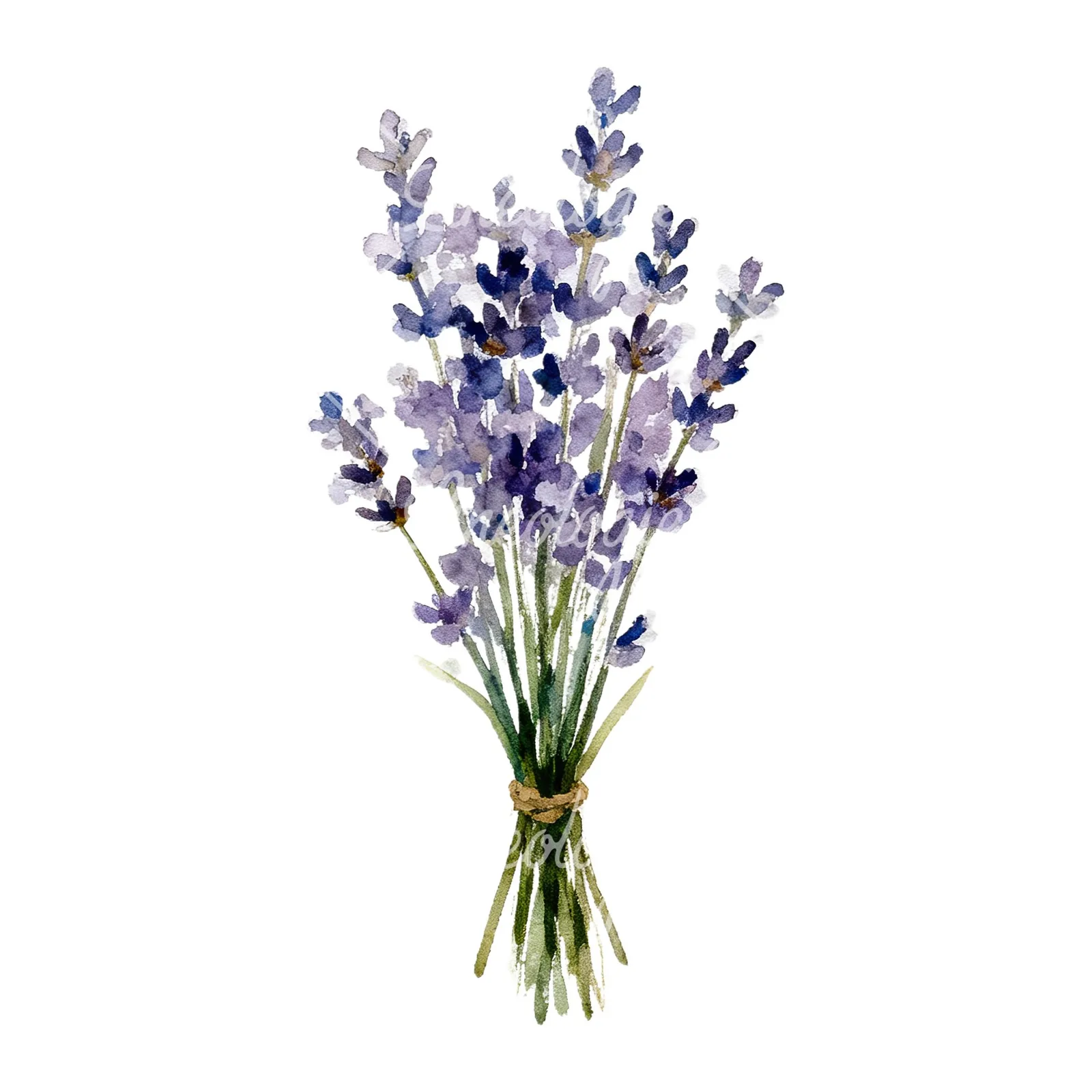 Watercolor lavender bouquet with blue accents clipart 3 of 9 on a white background (JPG)