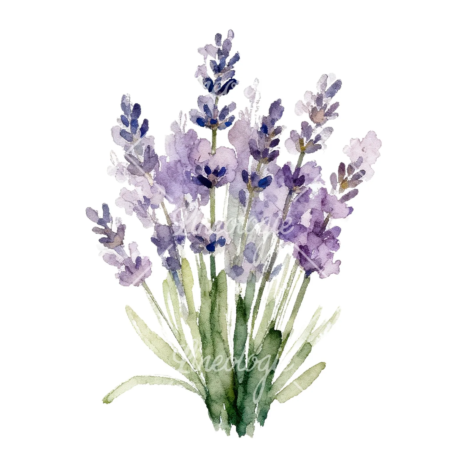 Watercolor lavender bouquet with blue accents clipart 5 of 9 on a white background (JPG)