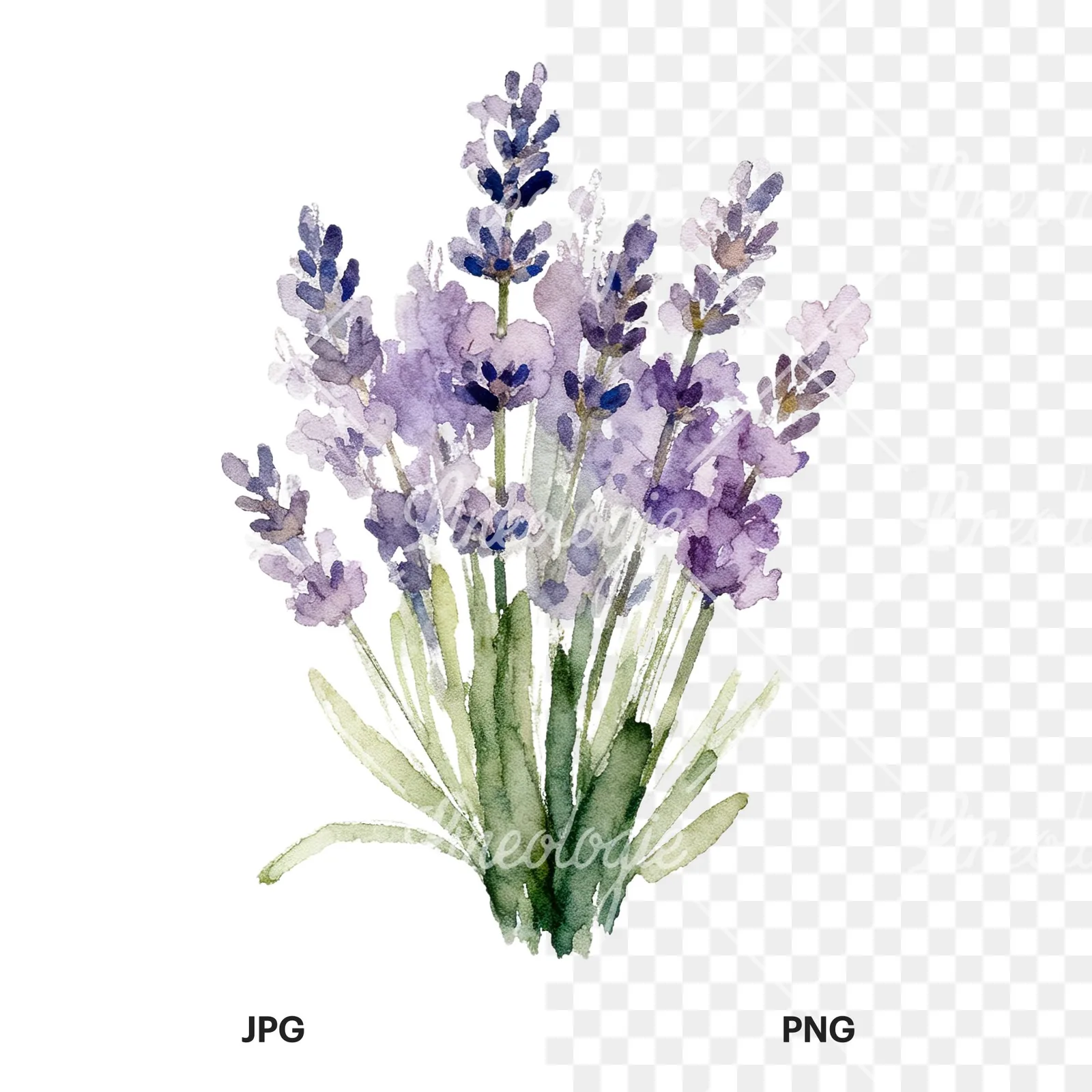 Watercolor lavender bouquet with blue accents clipart 5 of 9, as a JPG on white and a transparent PNG