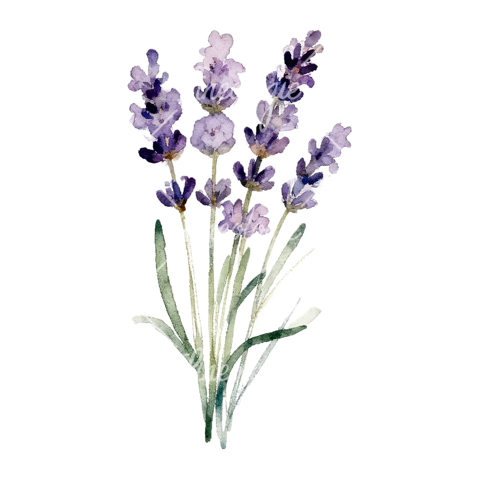 Watercolor lavender bouquet with blue accents clipart 8 of 9 on a white background (JPG)