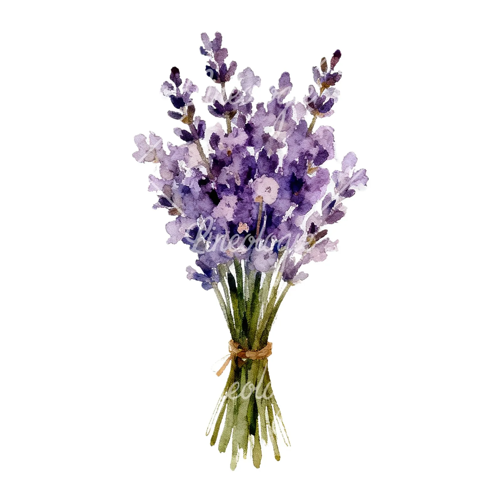 Watercolor lavender bouquet with blue accents clipart 9 of 9 on a white background (JPG)