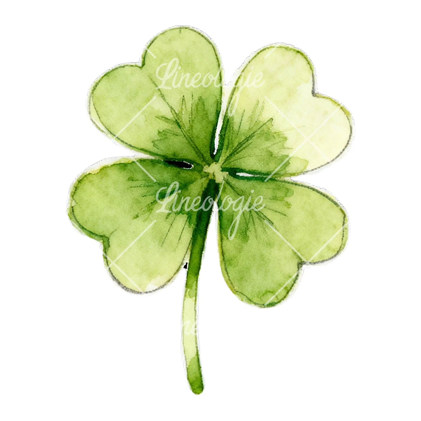 Watercolor leaf clover flower clipart 2 of 9 on a white background (JPG)