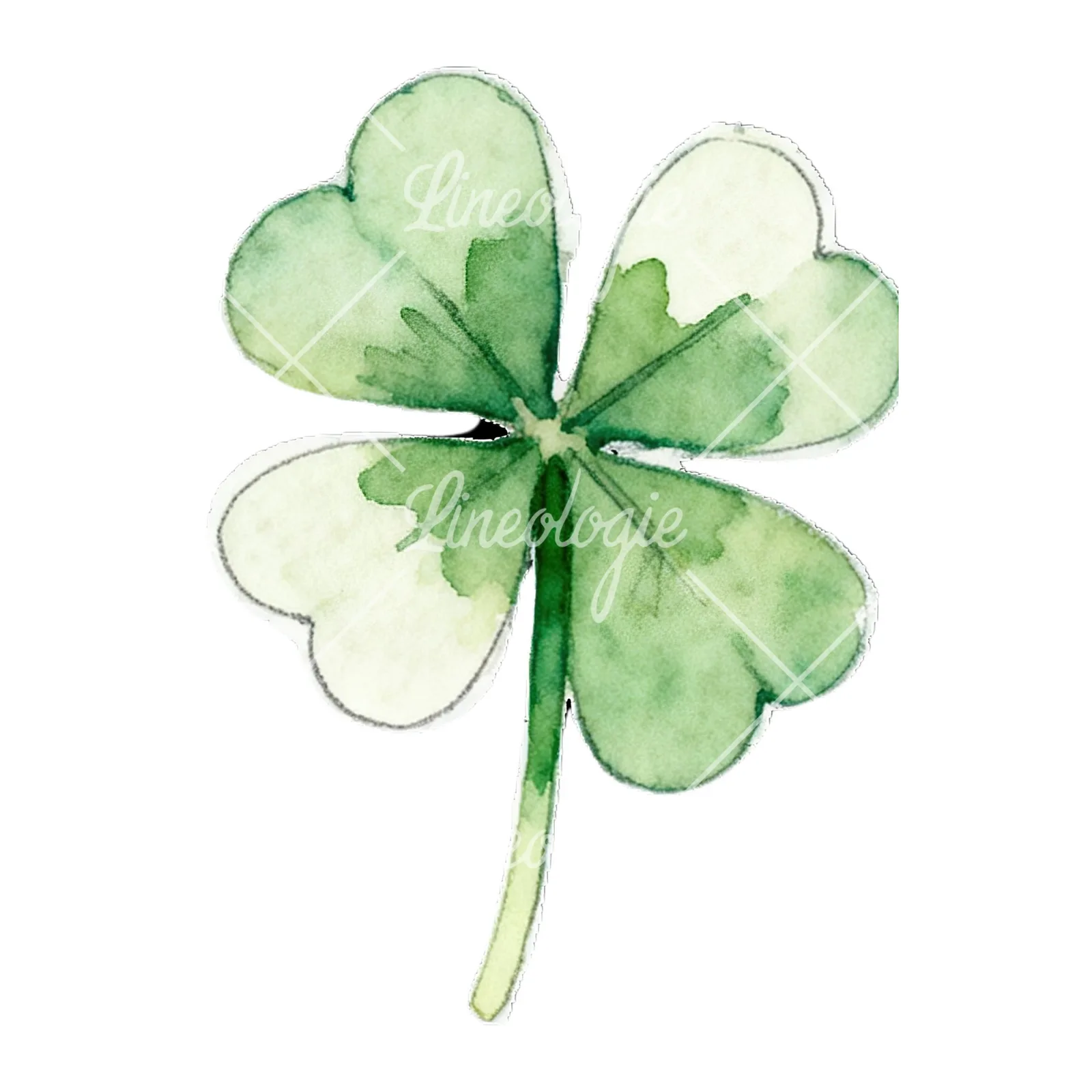 Watercolor leaf clover flower clipart 3 of 9 on a white background (JPG)