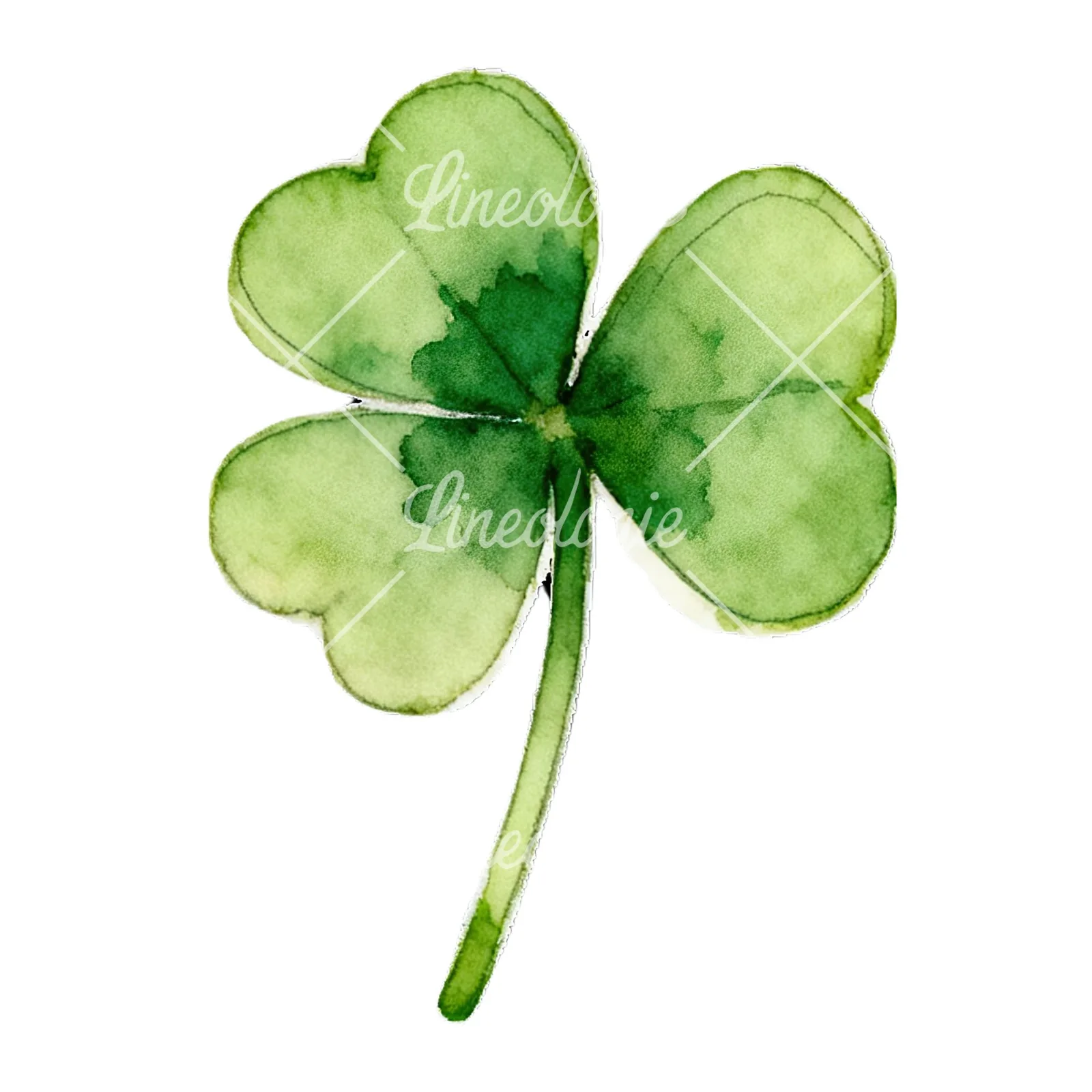 Watercolor leaf clover flower clipart 6 of 9 on a white background (JPG)