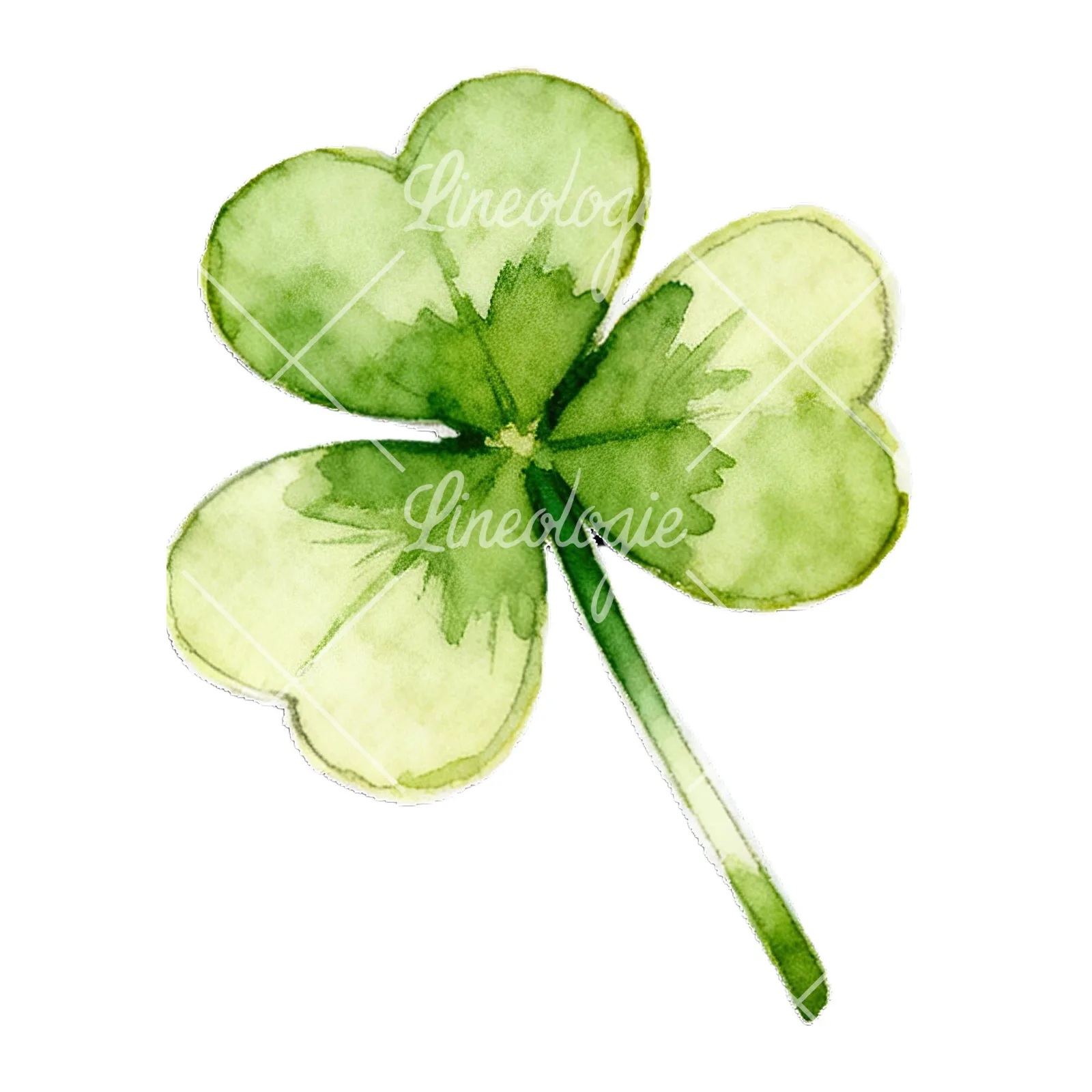 Watercolor leaf clover flower clipart 7 of 9 on a white background (JPG)