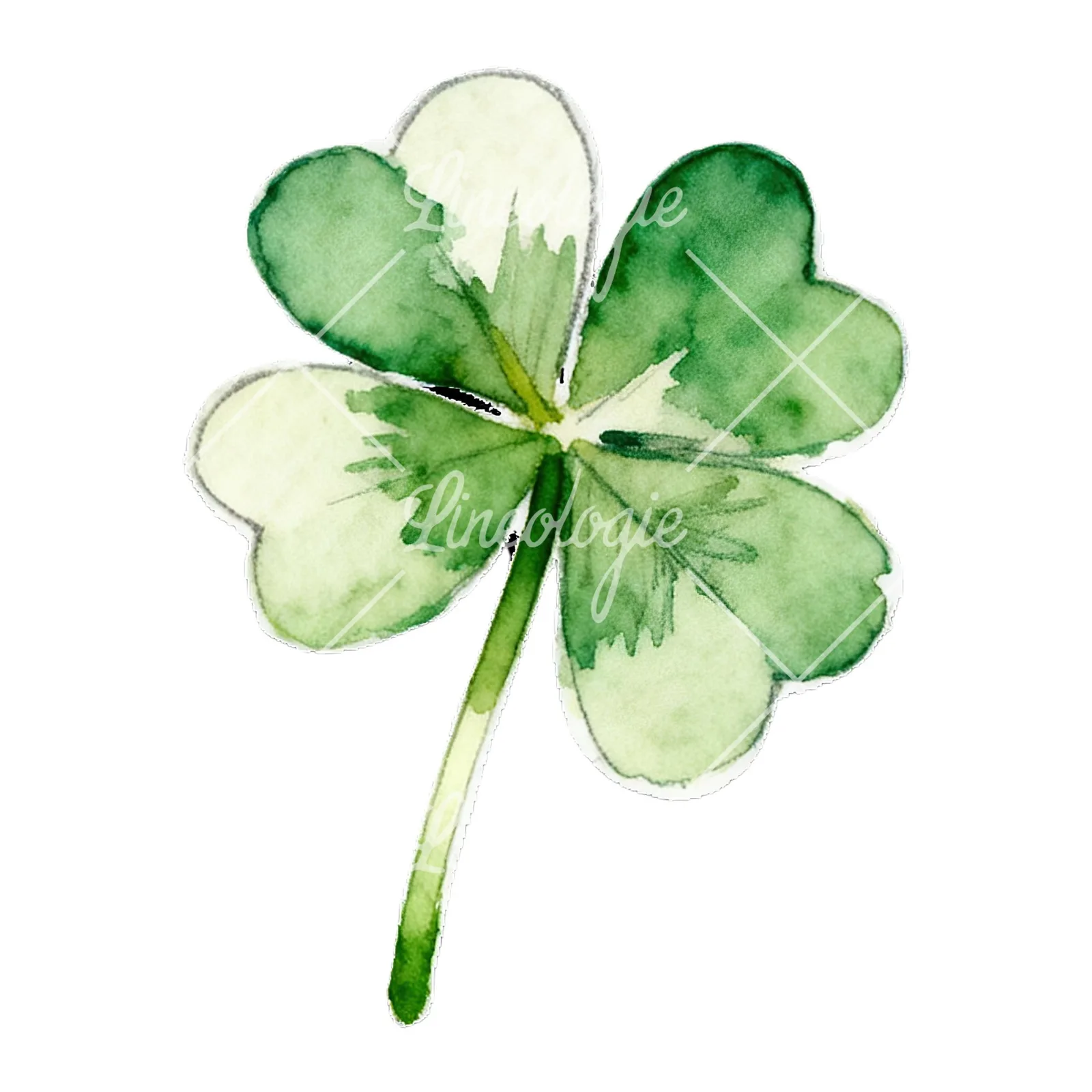 Watercolor leaf clover flower clipart 8 of 9 on a white background (JPG)