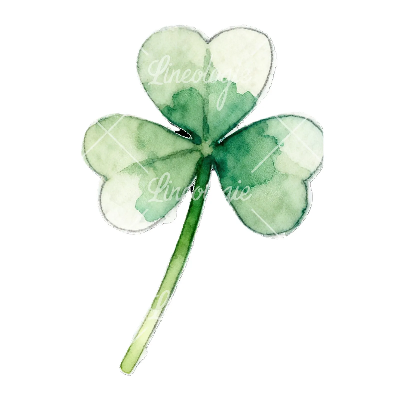 Watercolor leaf clover flower clipart 9 of 9 on a white background (JPG)